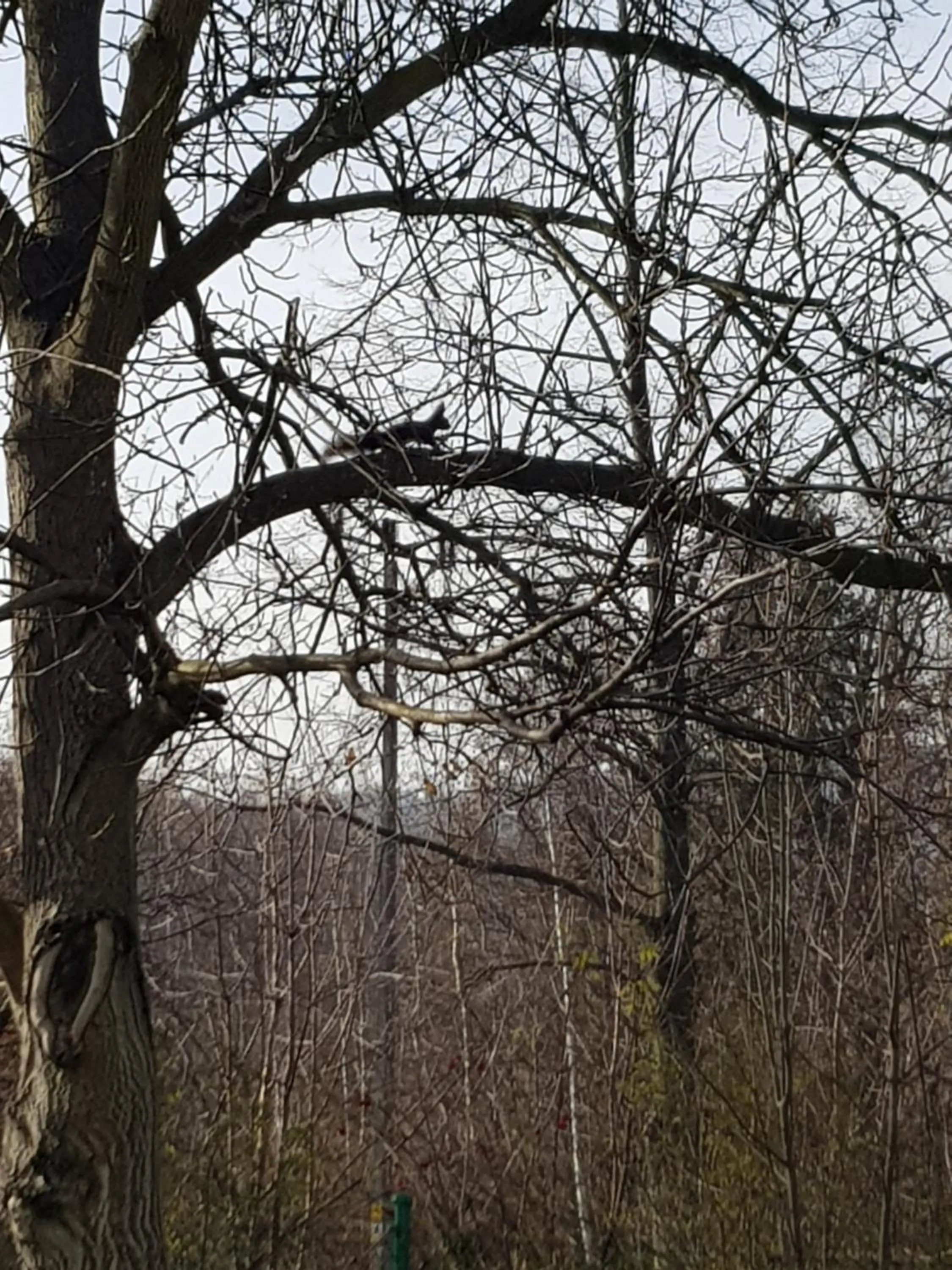 Natural landscape in Apartament Malwina
