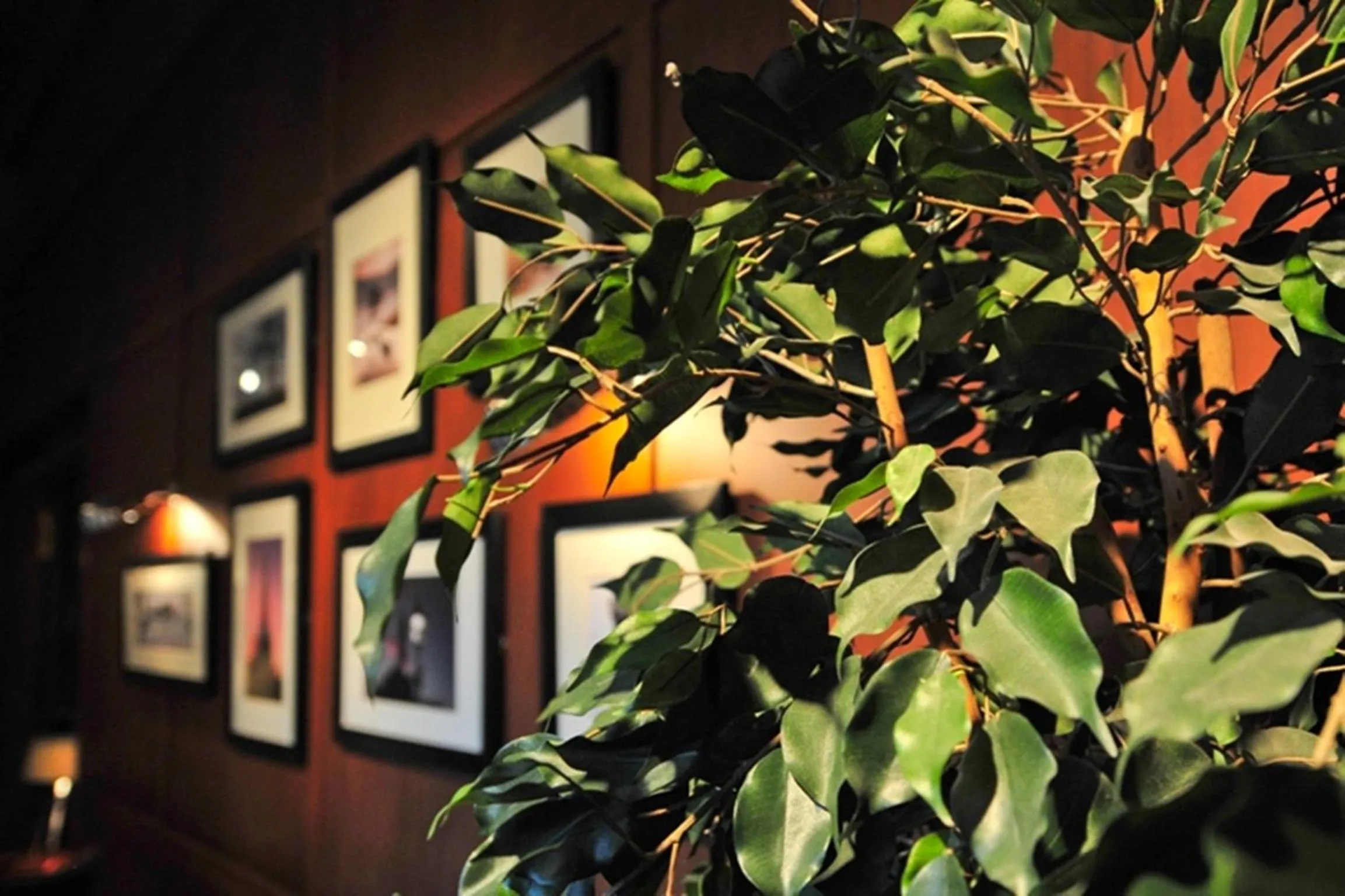 Lounge or bar in Savoy Park Hotel