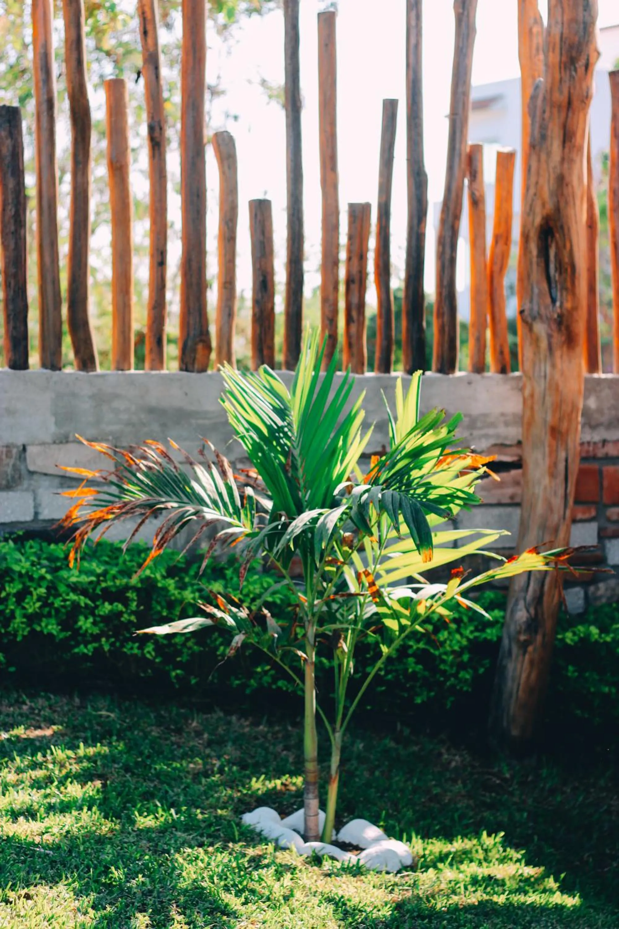 Pool view in Hotel el Risco