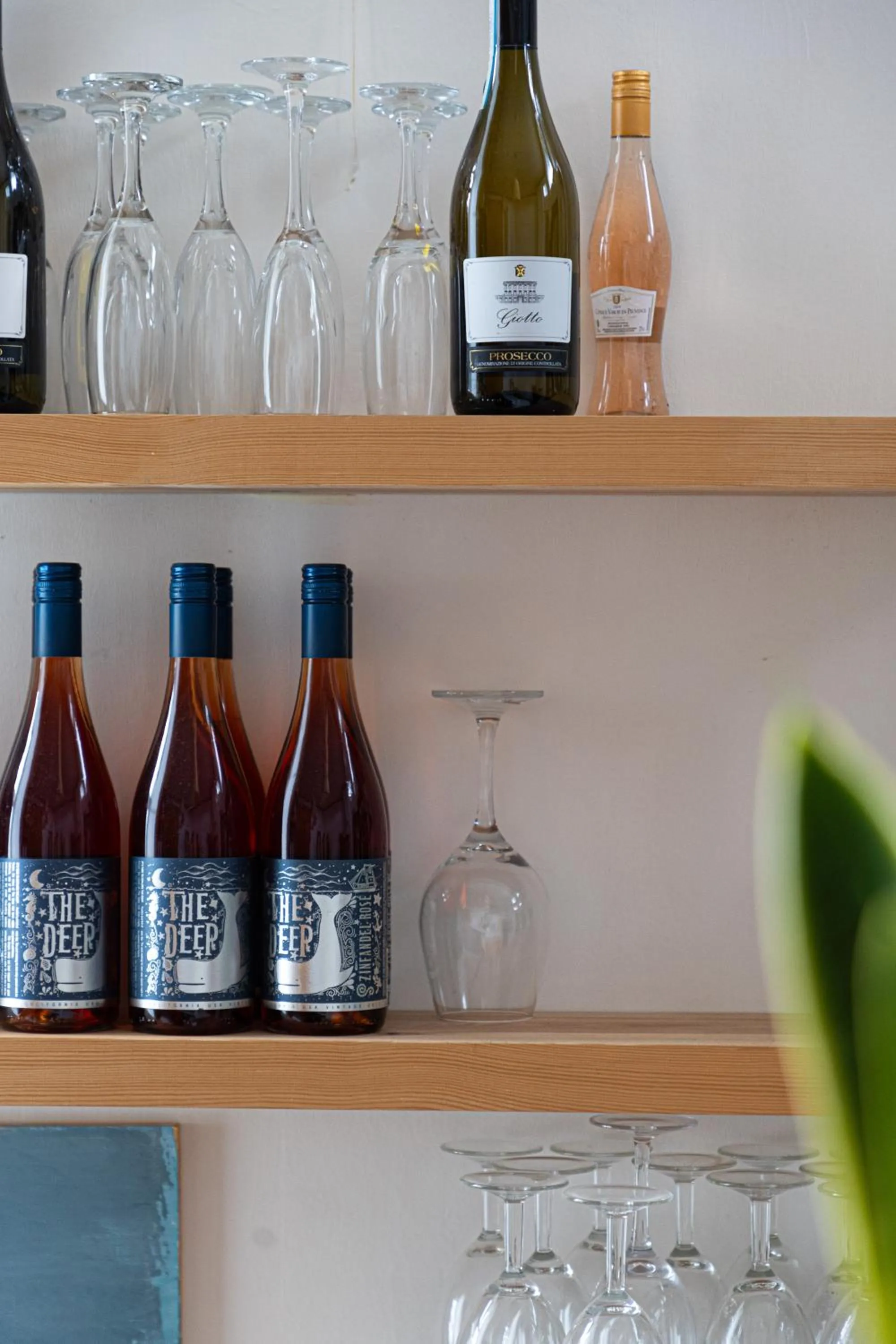 Drinks in Waters Edge Hotel Torquay