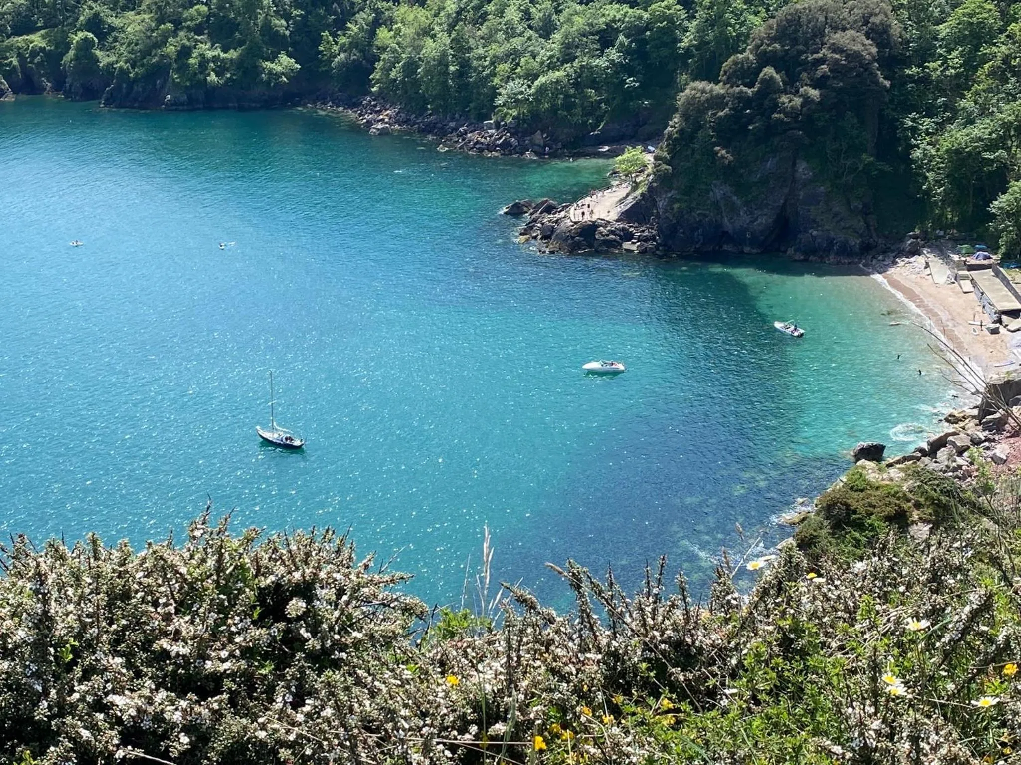 Natural landscape in Waters Edge Hotel Torquay