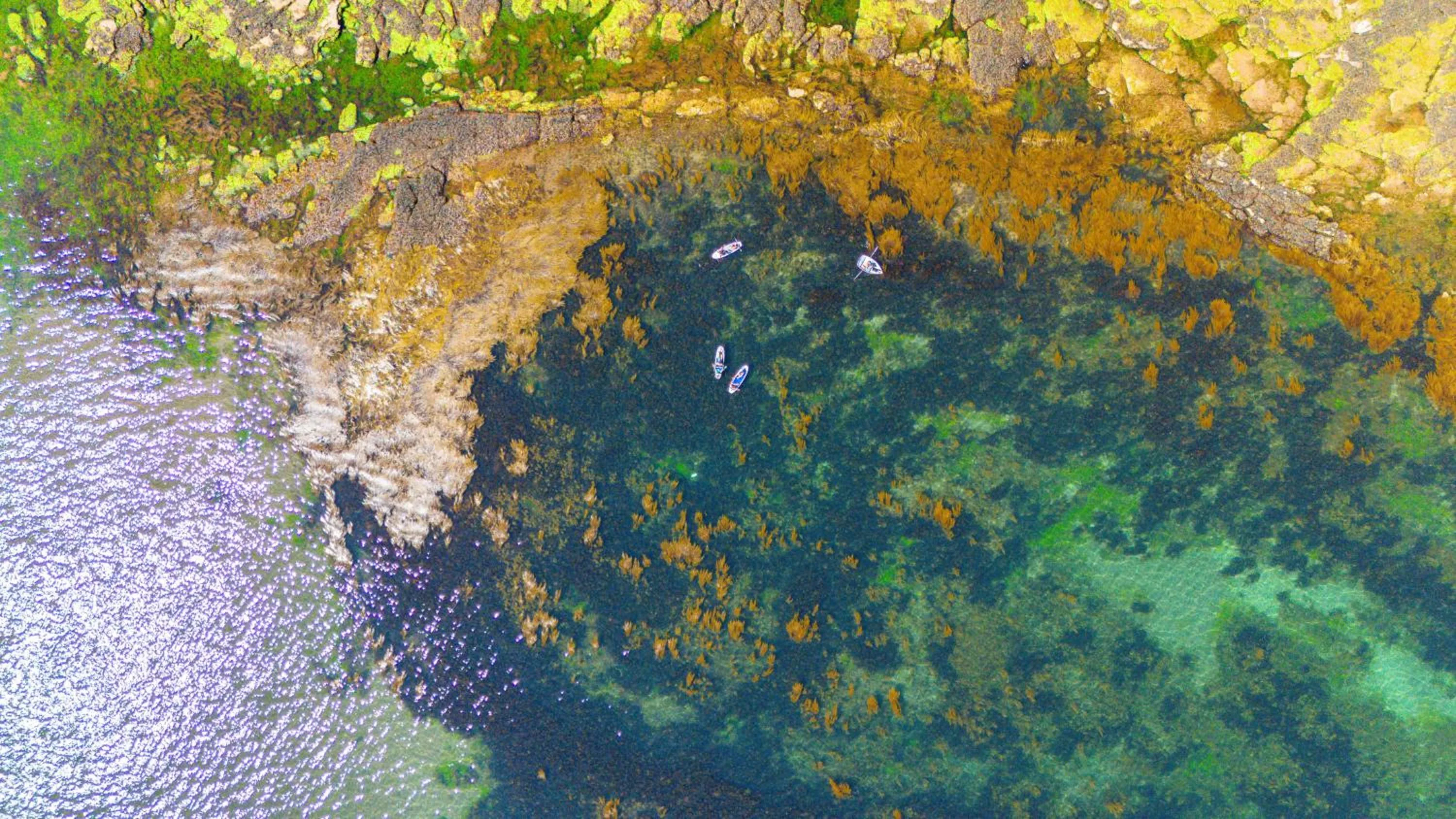 Natural landscape in Waters Edge Hotel Torquay