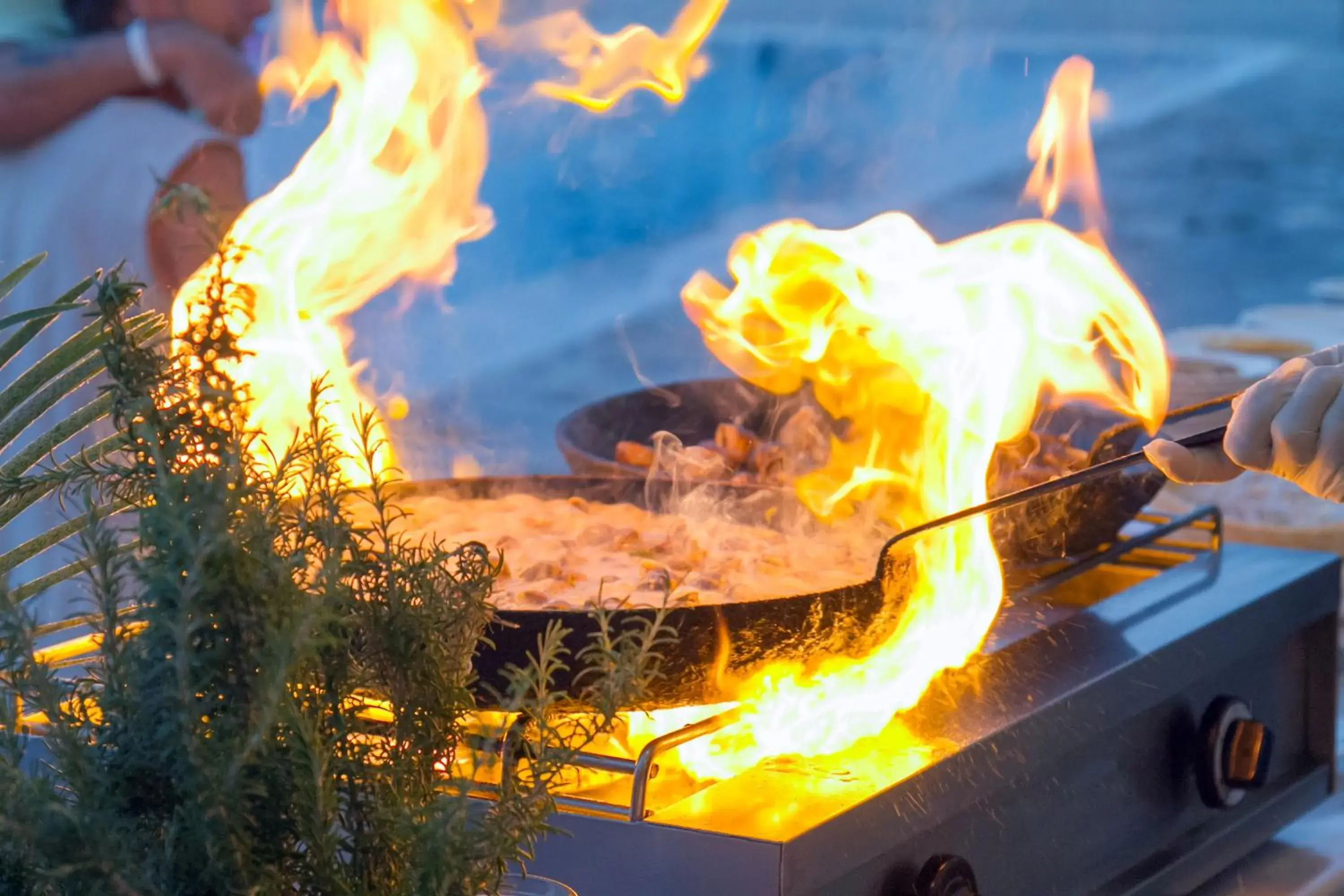 Restaurant/places to eat in Peninsula Resort & Spa Restaurant/places to eat in Peninsula Resort & Spa