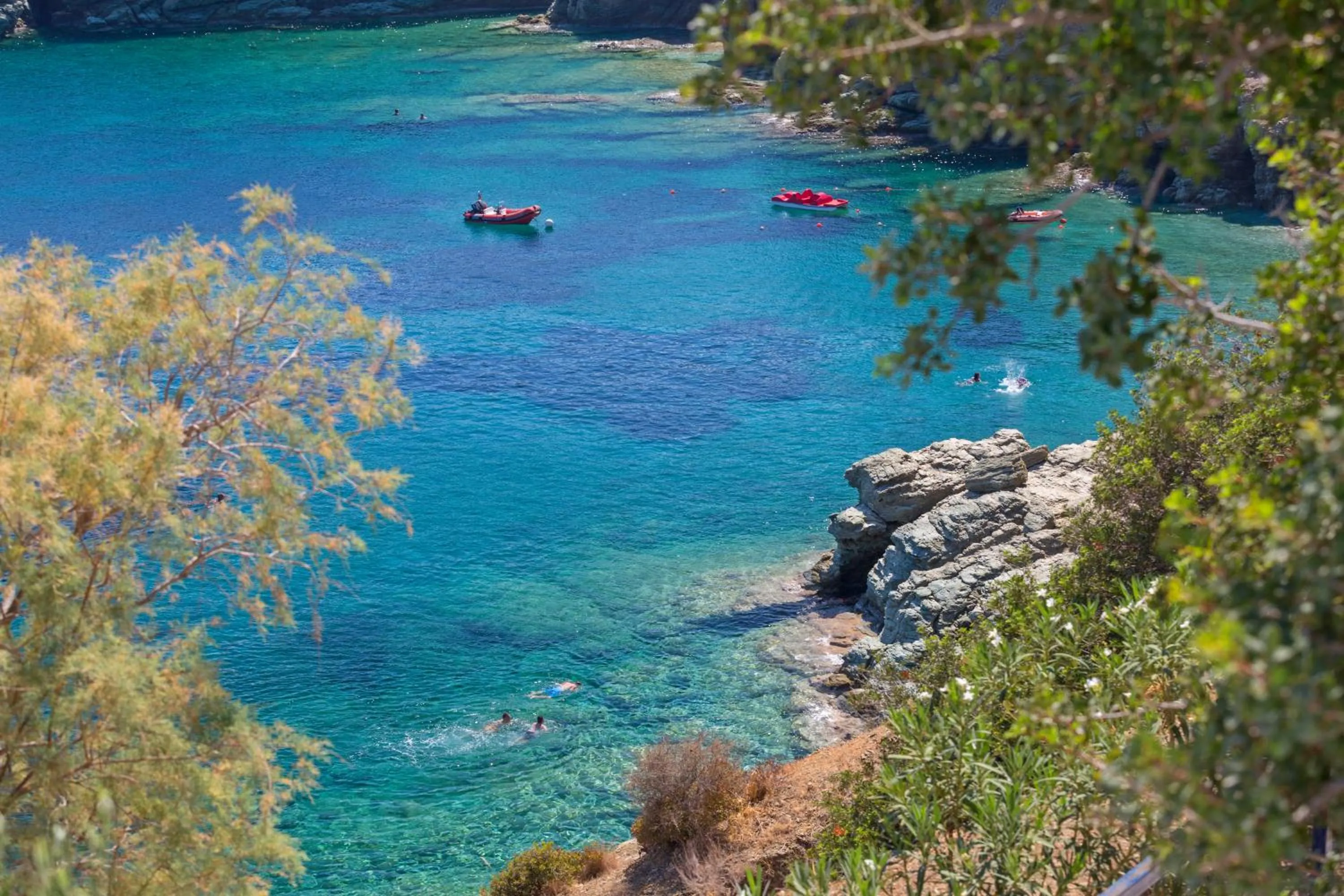 Natural landscape in Peninsula Resort & Spa