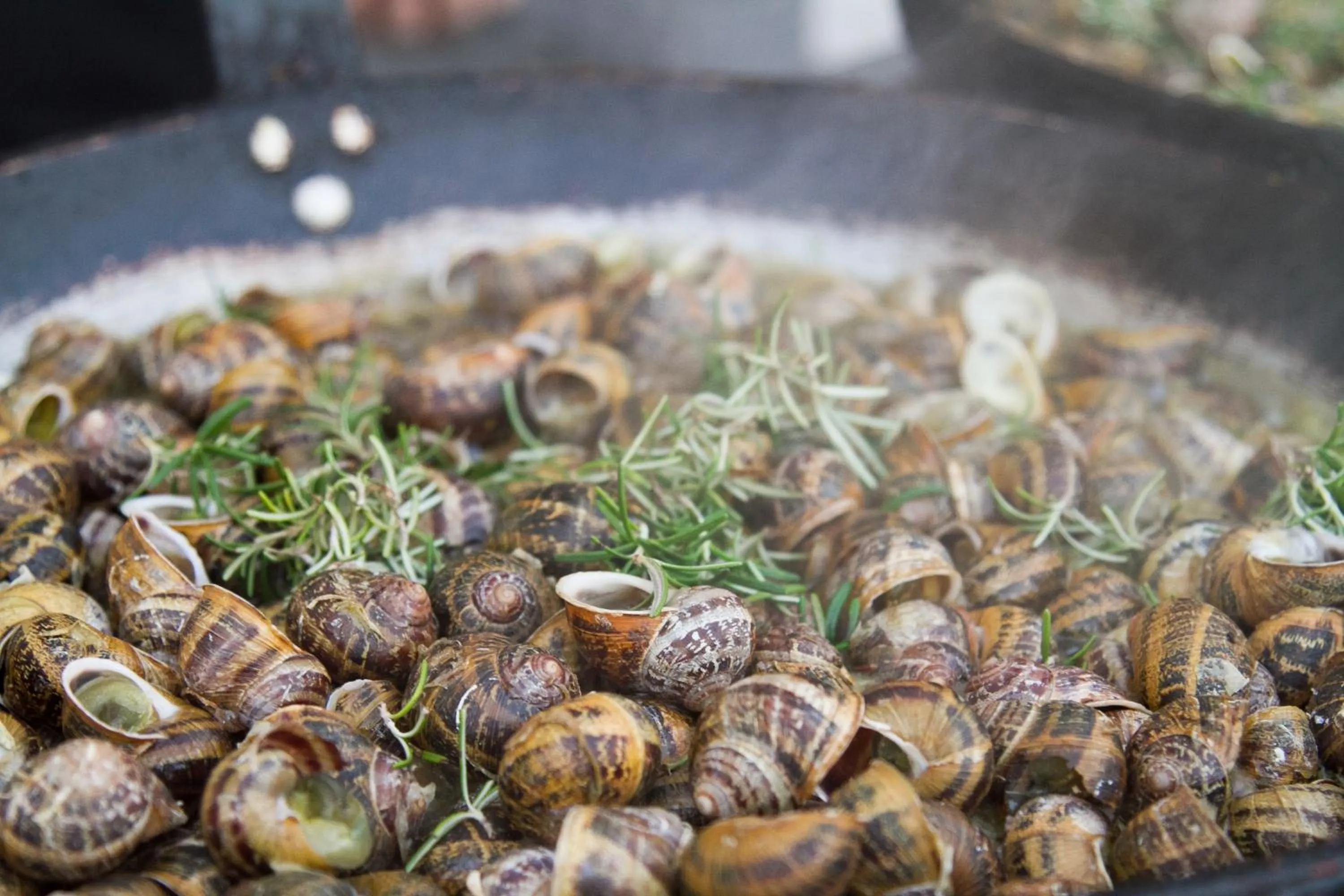 Restaurant/places to eat in Peninsula Resort & Spa