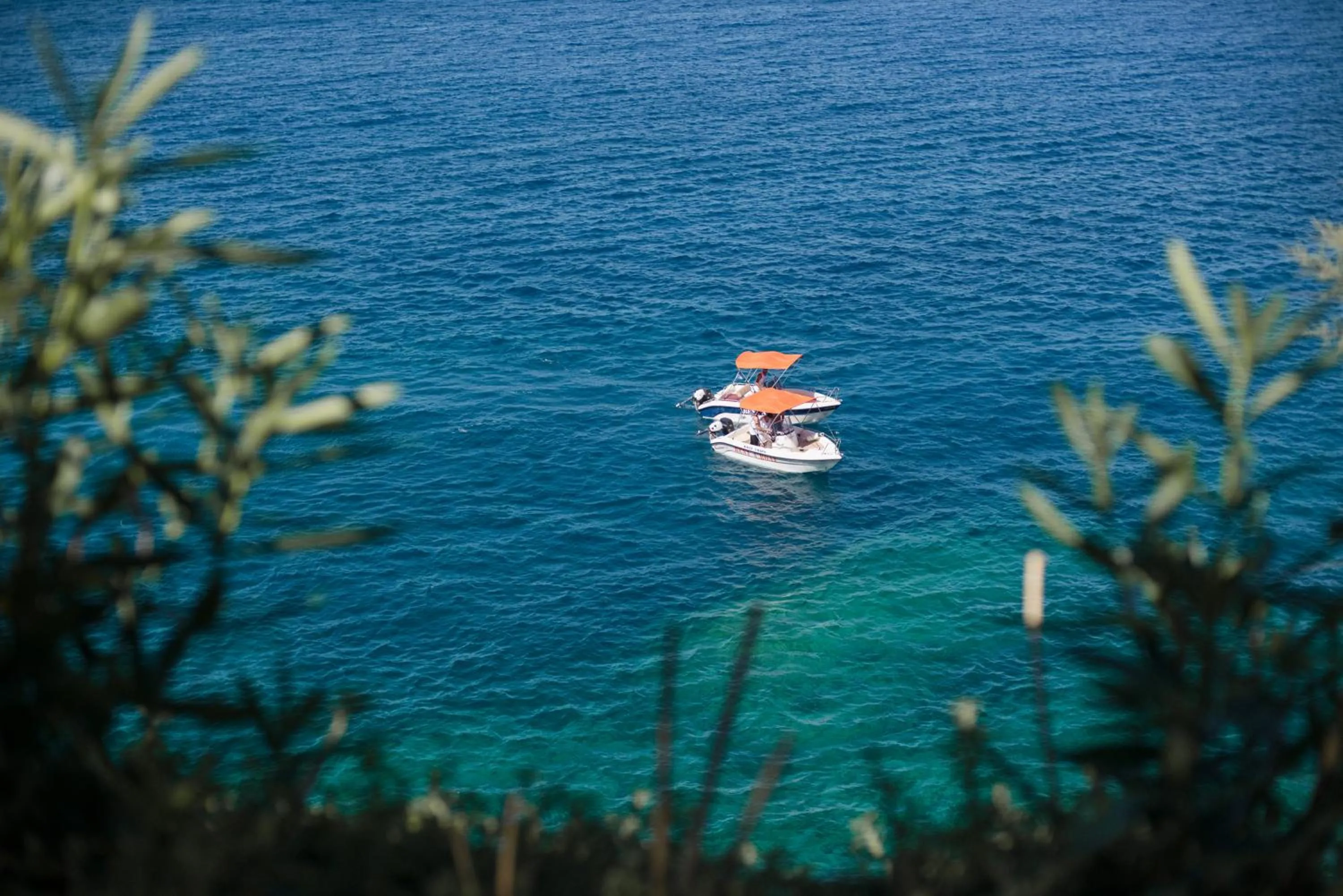 Natural landscape in Peninsula Resort & Spa