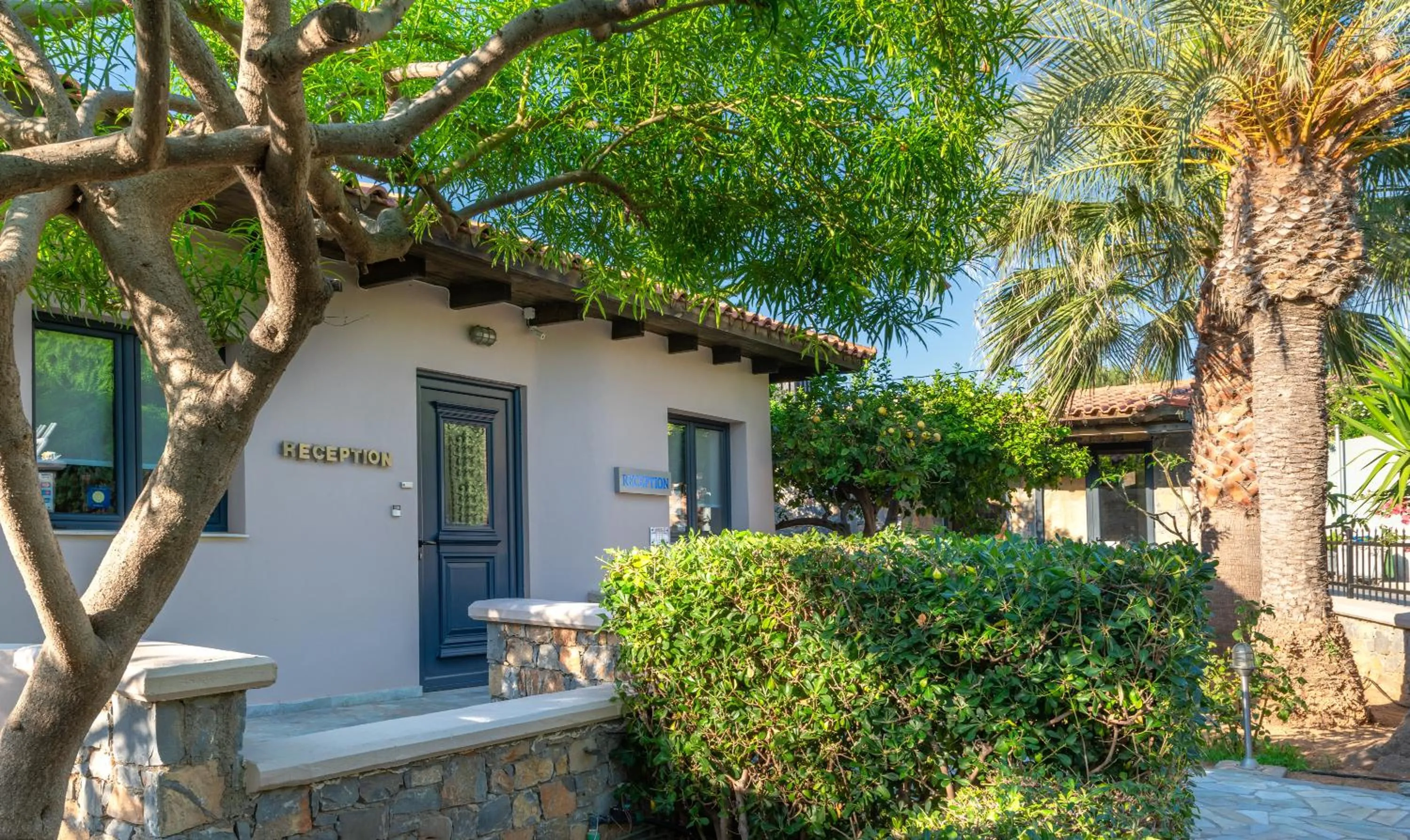 Property building in Nancy - Chara Apartments