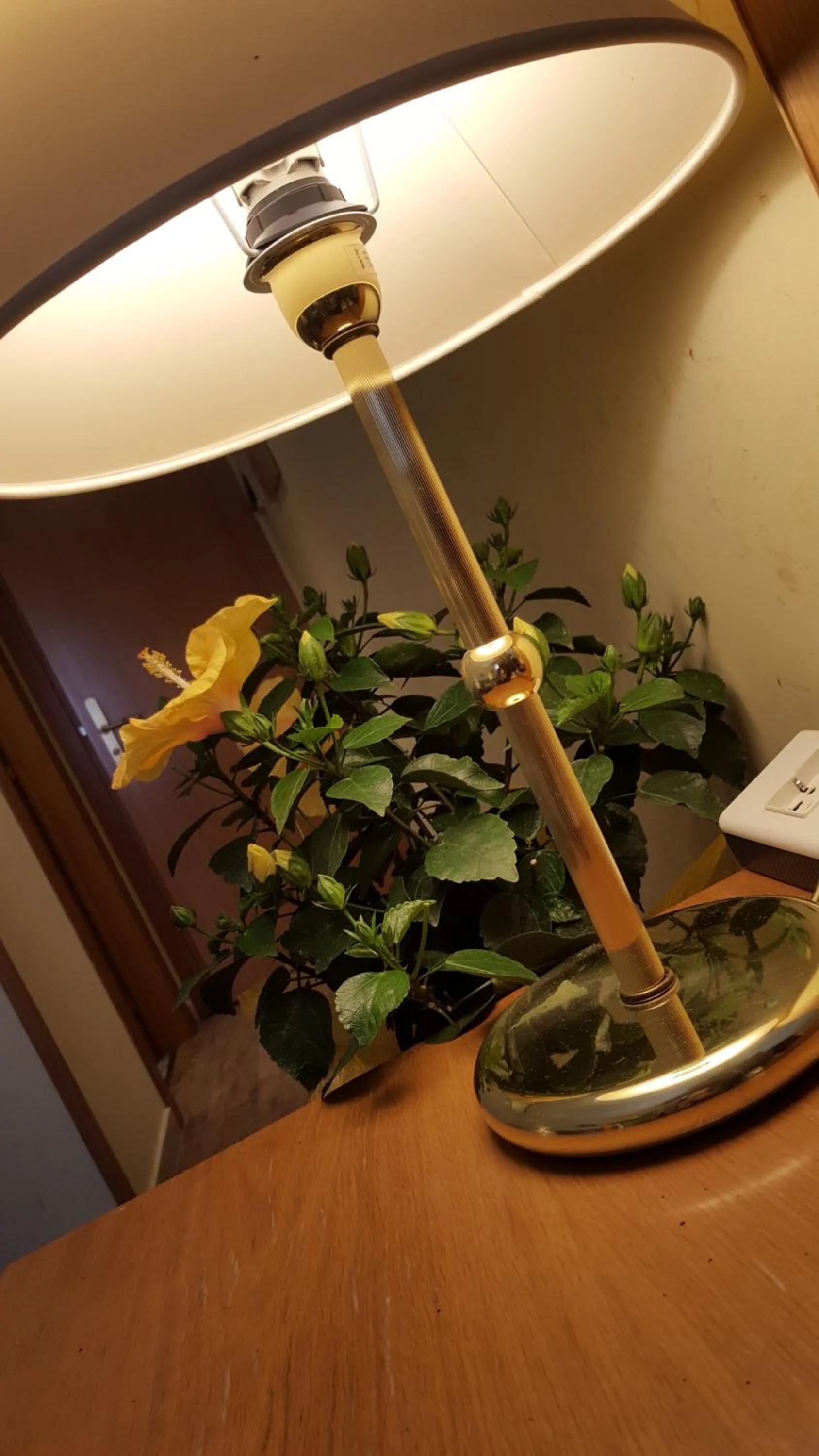 Decorative detail in Nuovo Albergo