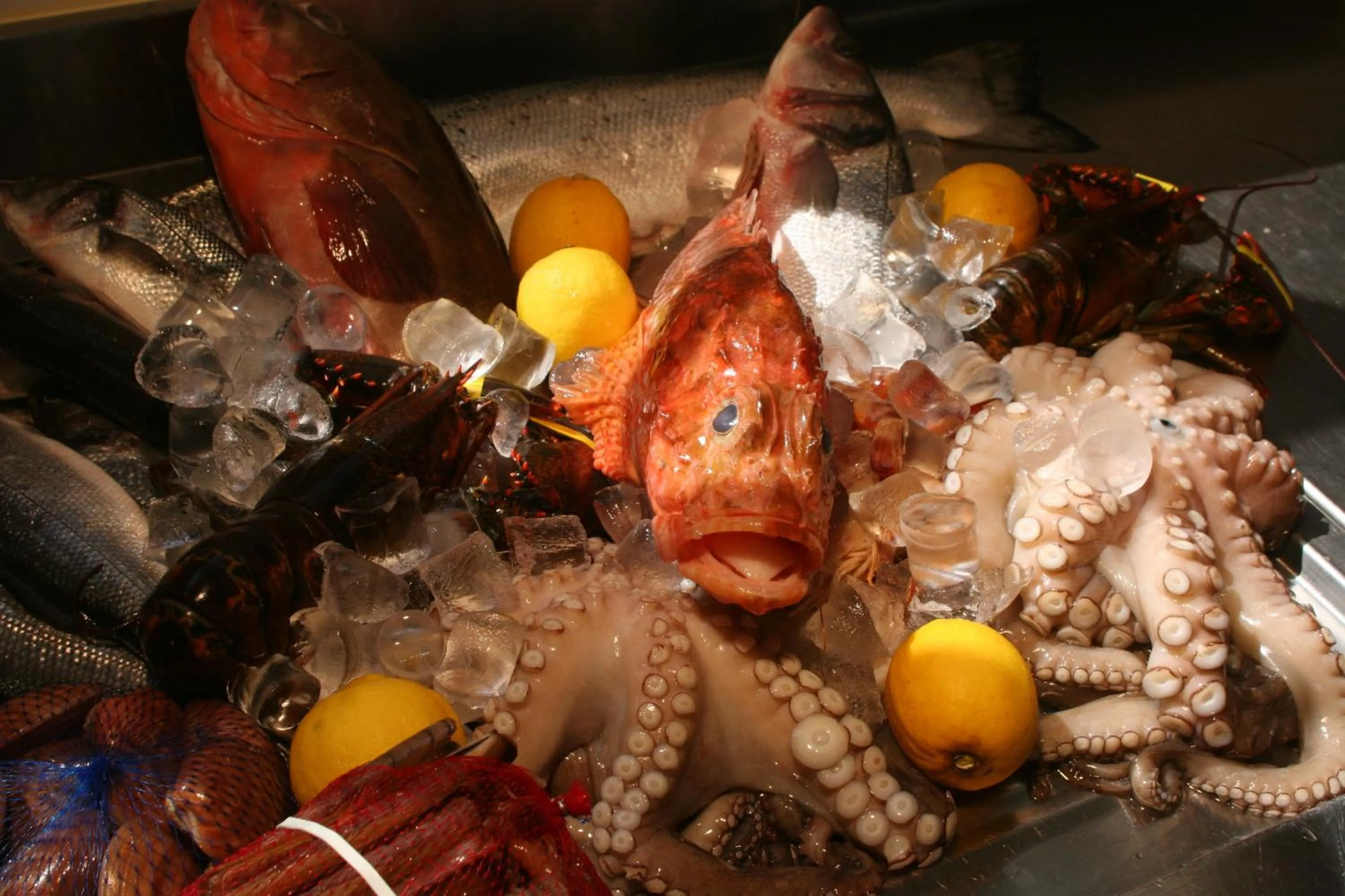 Restaurant/places to eat in Nuovo Albergo