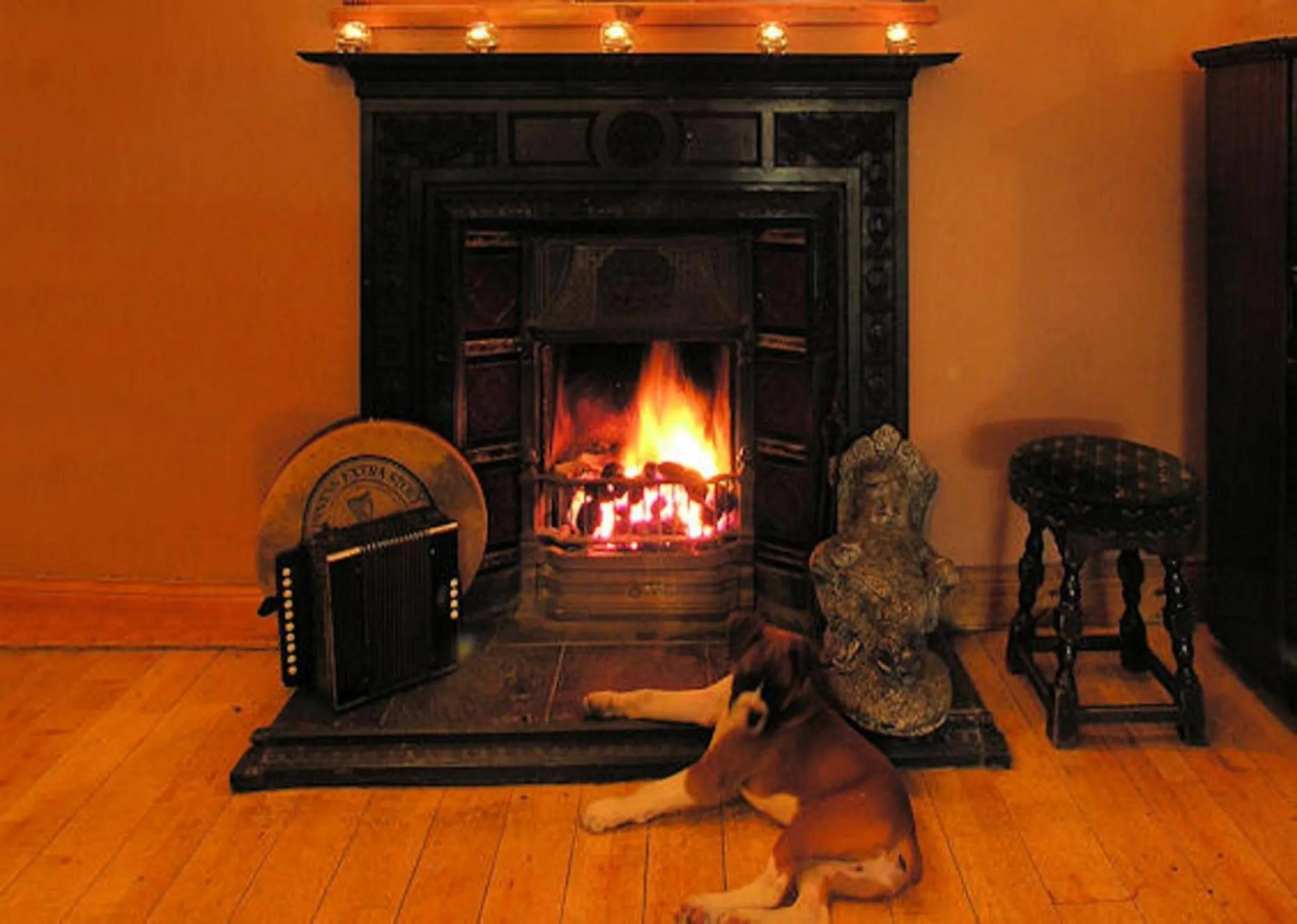 Pets in The Anvil Bar B&B