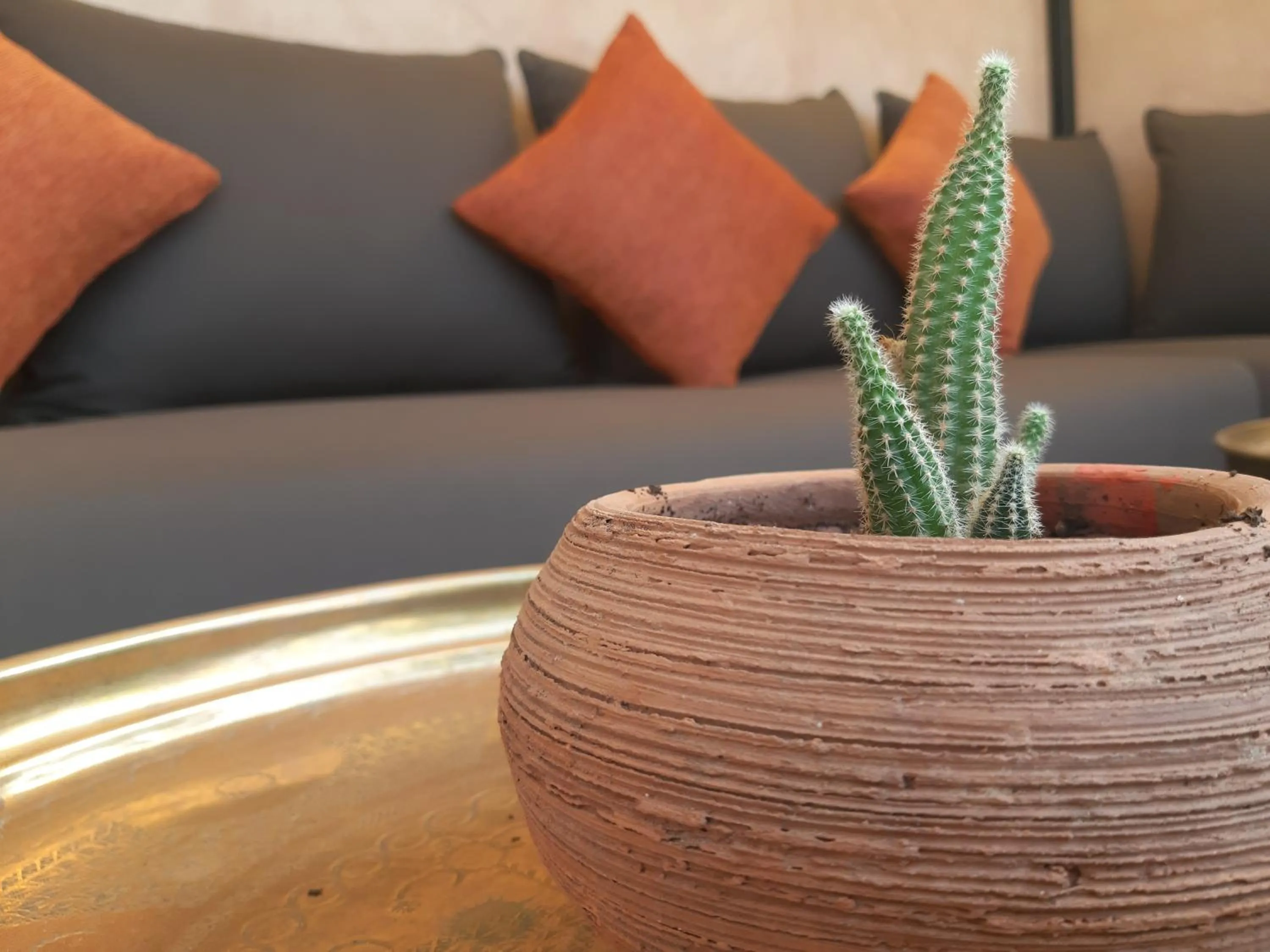 Balcony/Terrace in Riad Miral