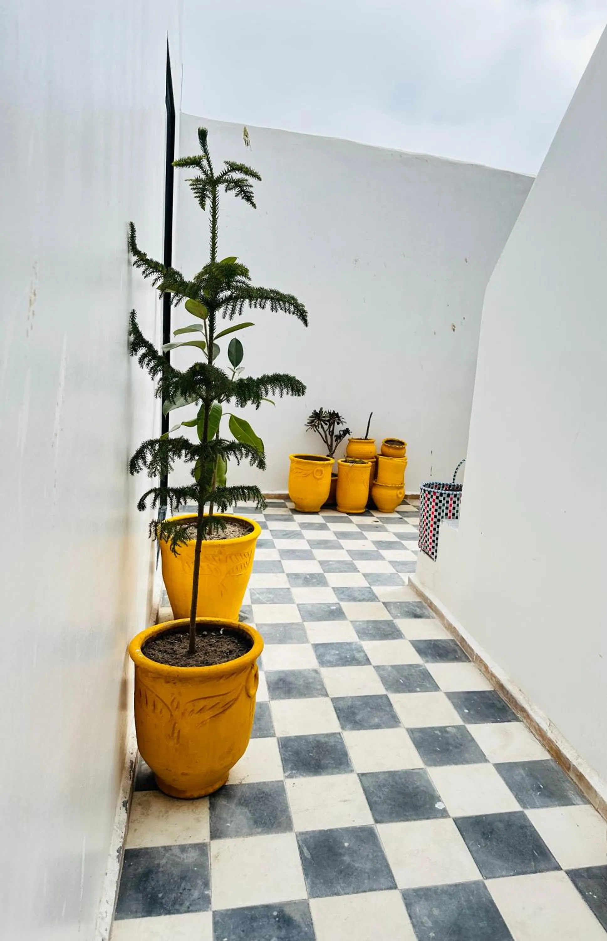 Home with a sea view