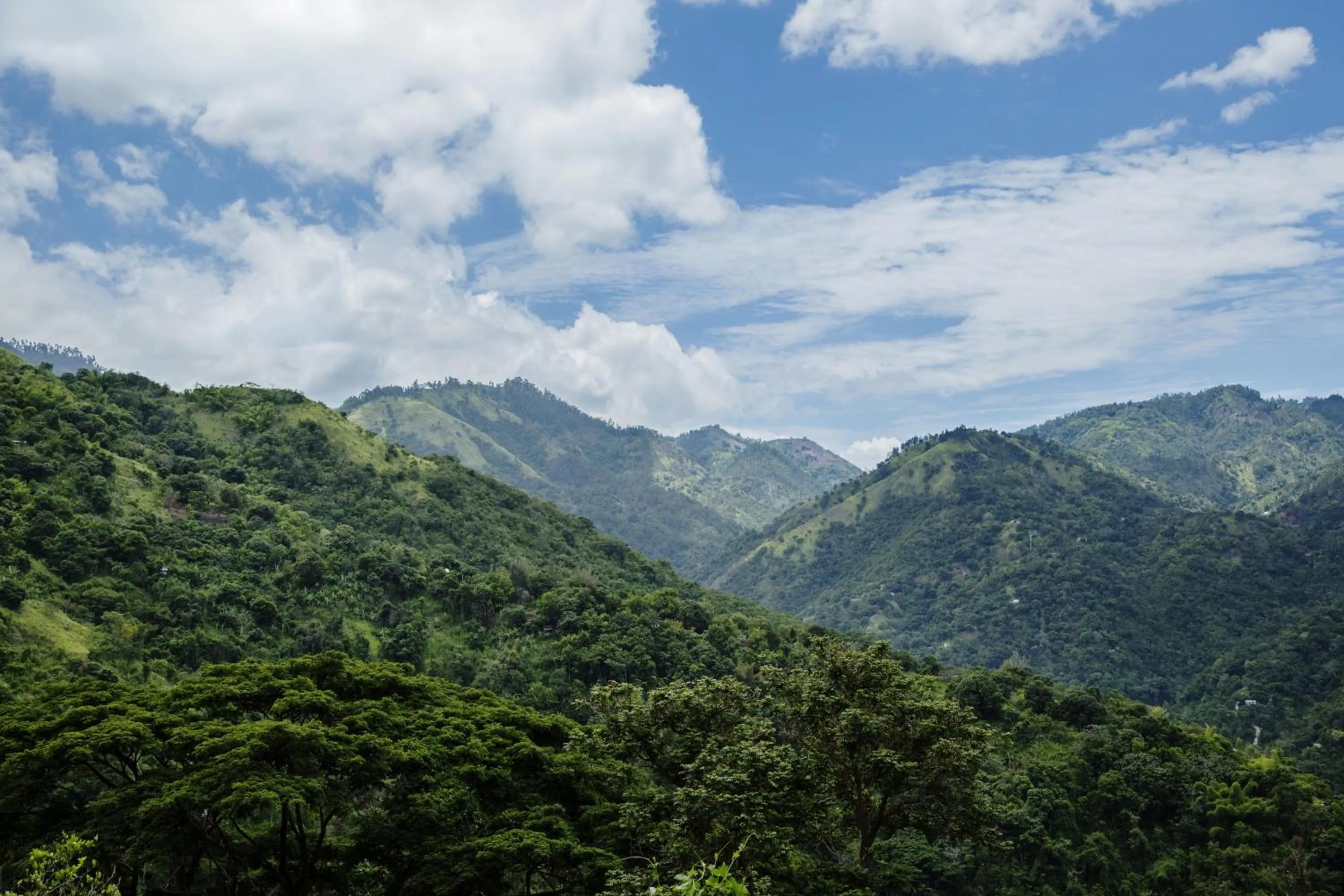 View (from property/room) in Strawberry Hill