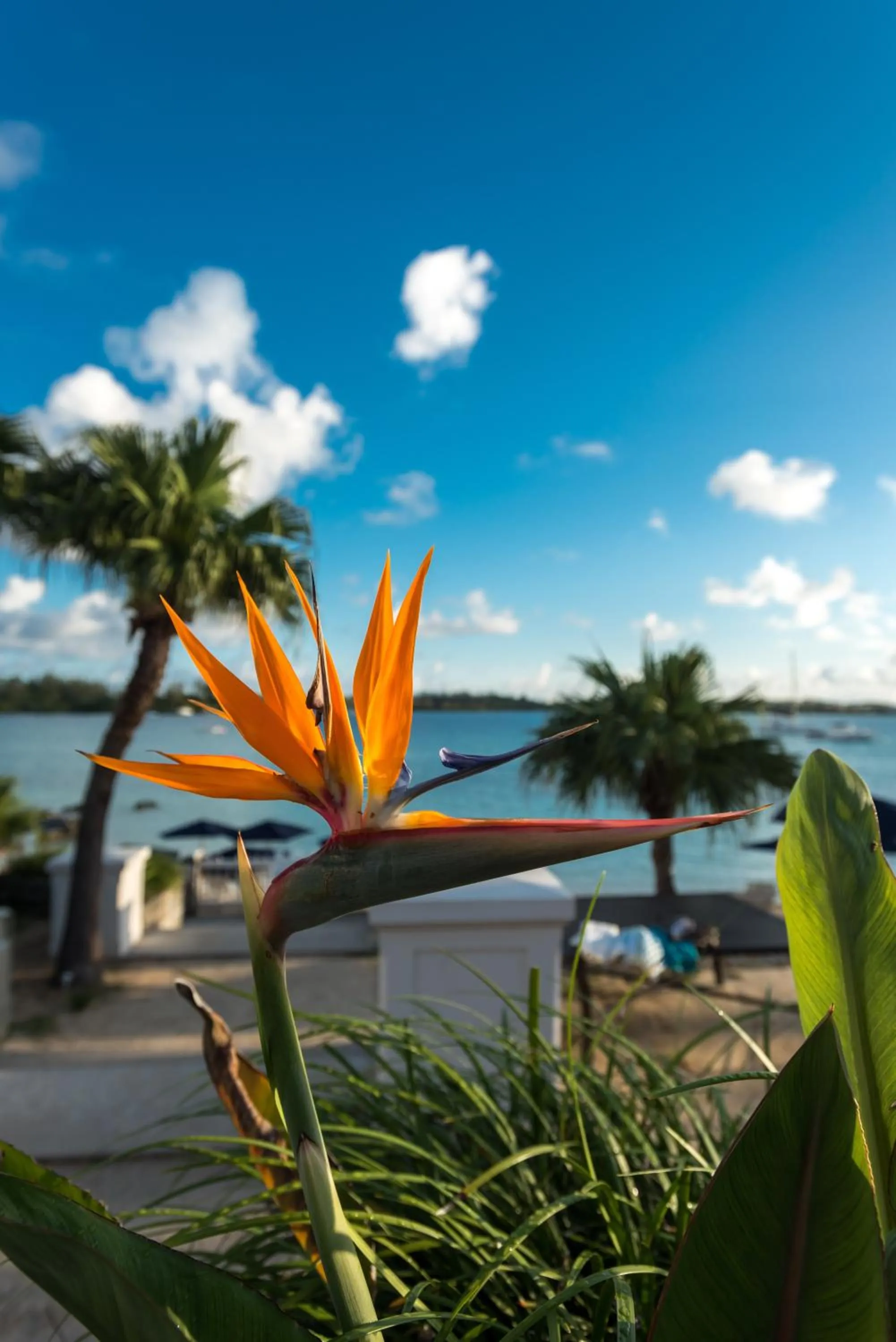 Sea view in Grotto Bay Beach Resort