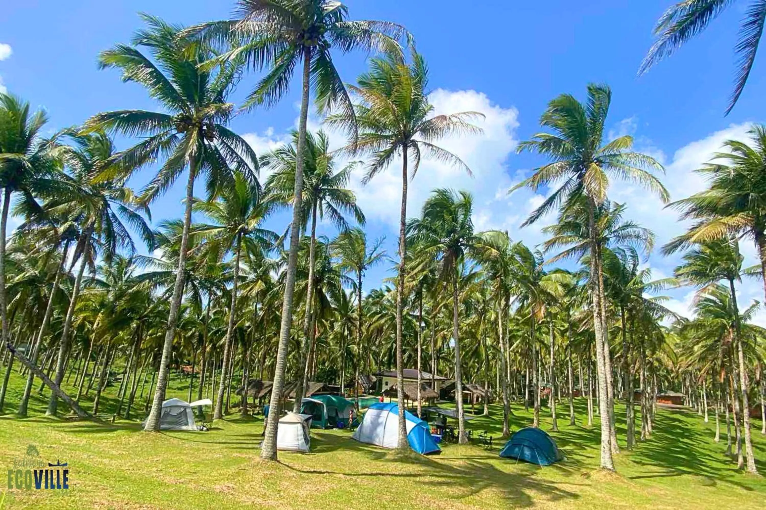 View (from property/room) in Caliraya Ecoville Recreation and Farm Resort