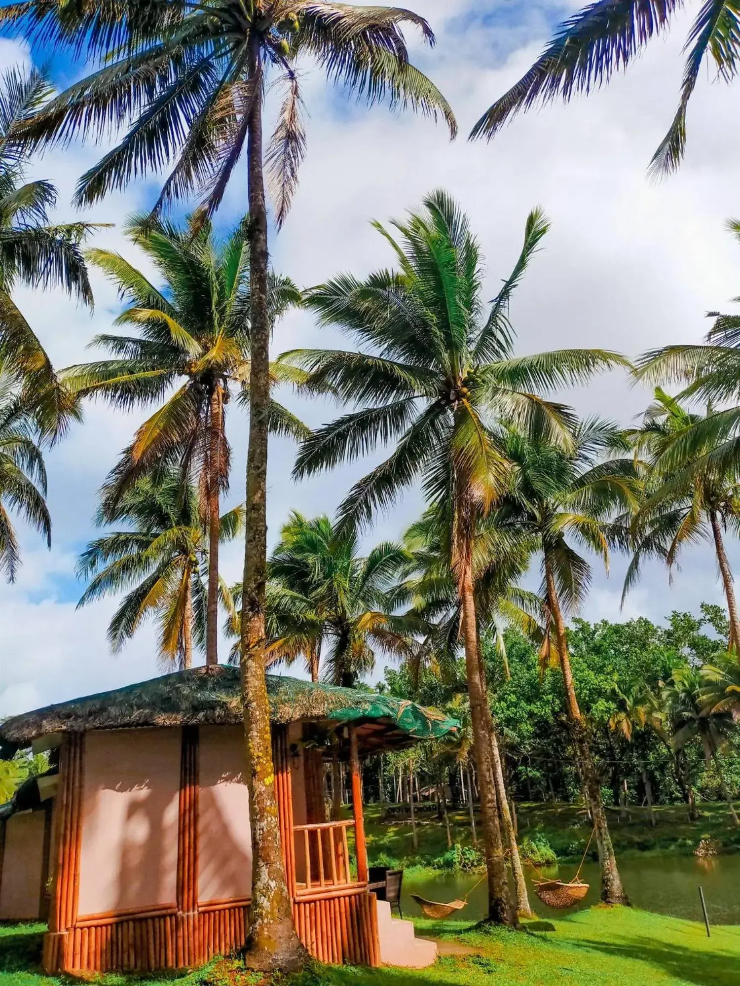 Lake view in Caliraya Ecoville Recreation and Farm Resort Lake view in Caliraya Ecoville Recreation and Farm Resort