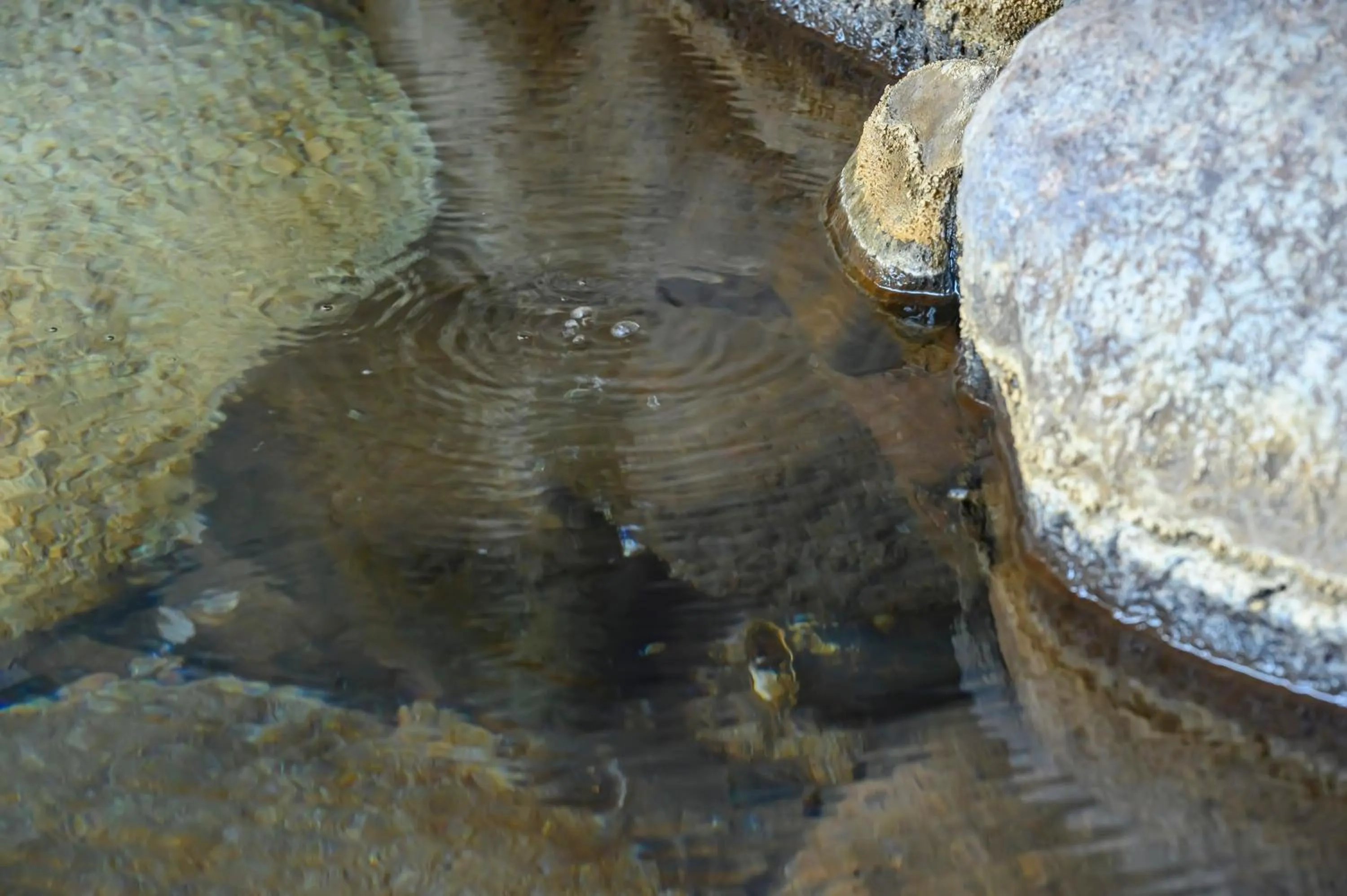 Hot Spring Bath in Ryokan Ohashi