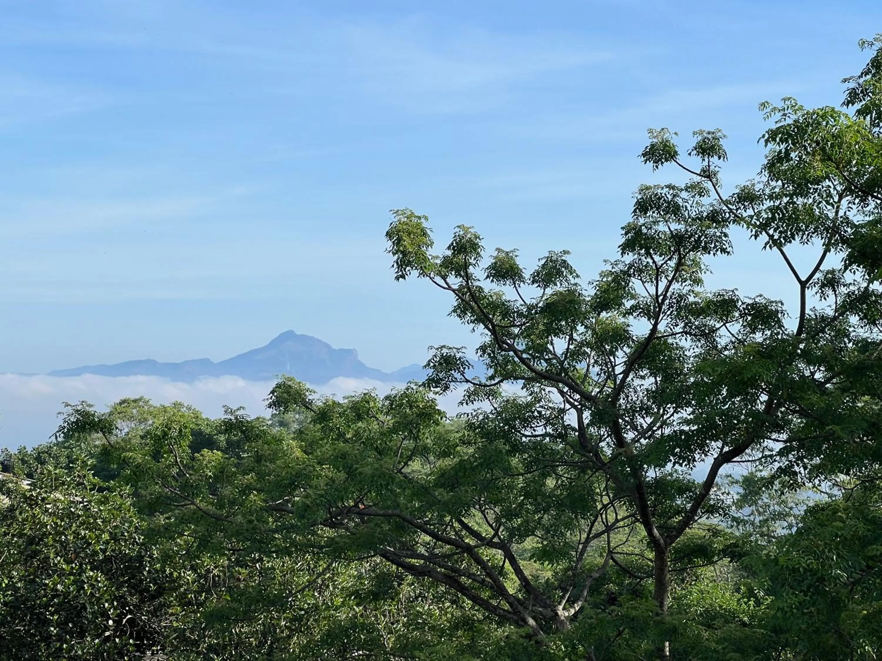 The Grand Hanthana