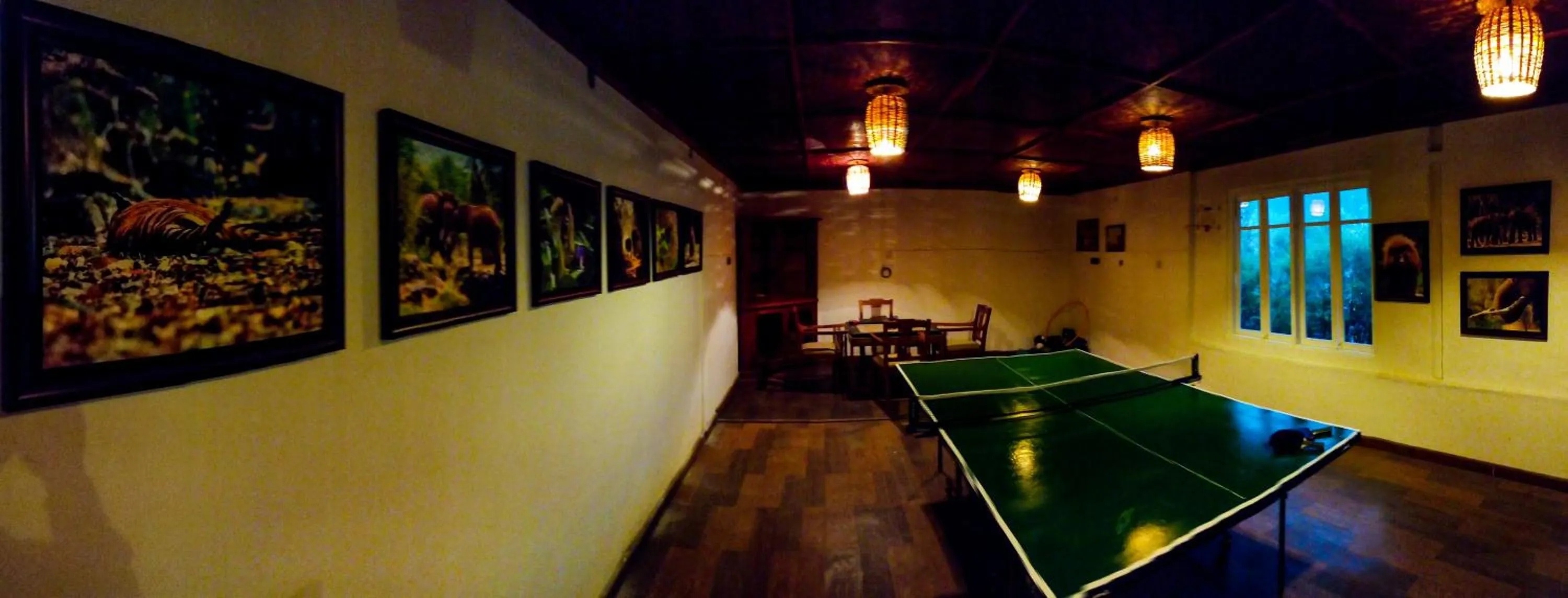 Game Room in Blackberry Hills Munnar Nature Resort & Spa
