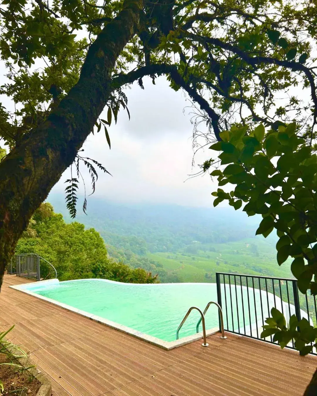 Mountain view in Blackberry Hills Munnar Nature Resort & Spa Mountain view in Blackberry Hills Munnar Nature Resort & Spa