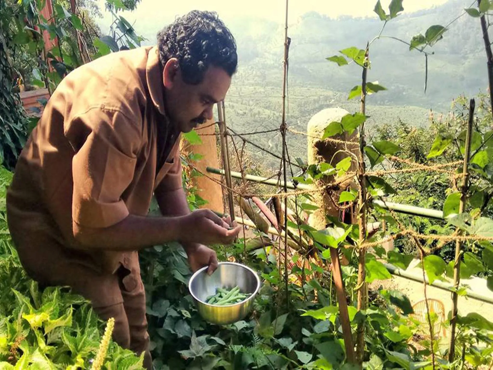 Activities in Blackberry Hills Munnar Nature Resort & Spa