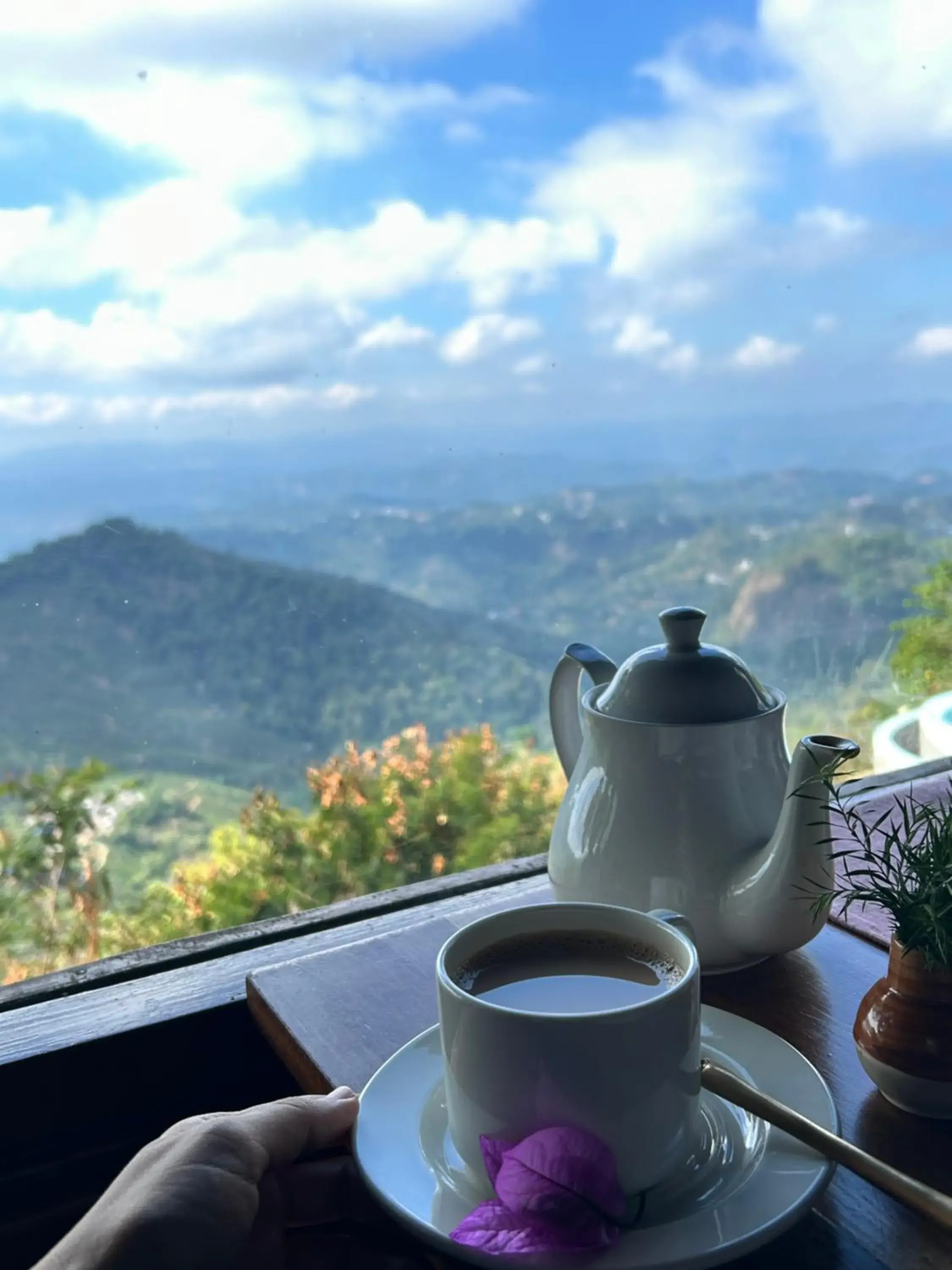 Restaurant/places to eat in Blackberry Hills Munnar Nature Resort & Spa Restaurant/places to eat in Blackberry Hills Munnar Nature Resort & Spa