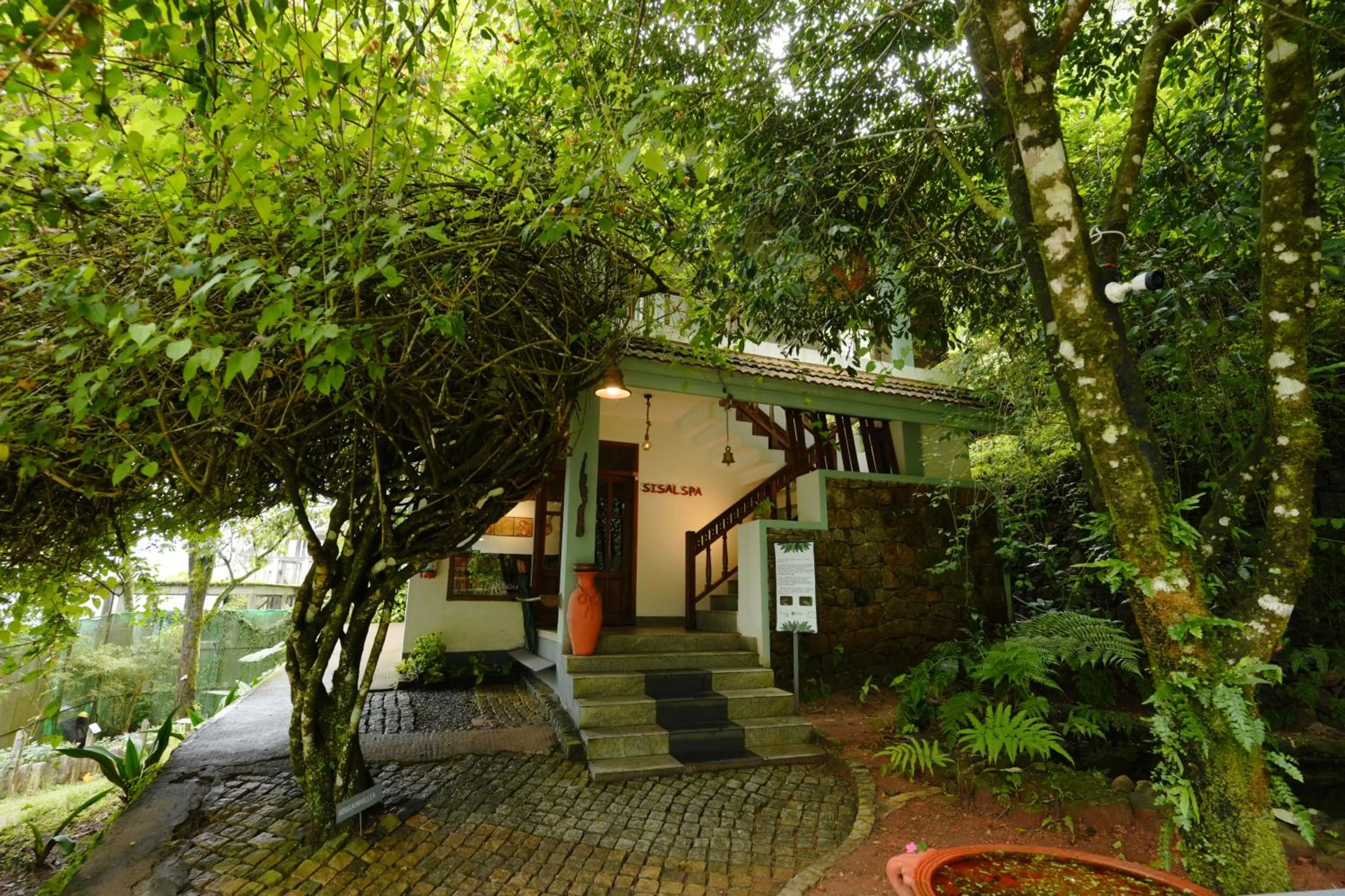 Spa and wellness centre/facilities in Blackberry Hills Munnar Nature Resort & Spa