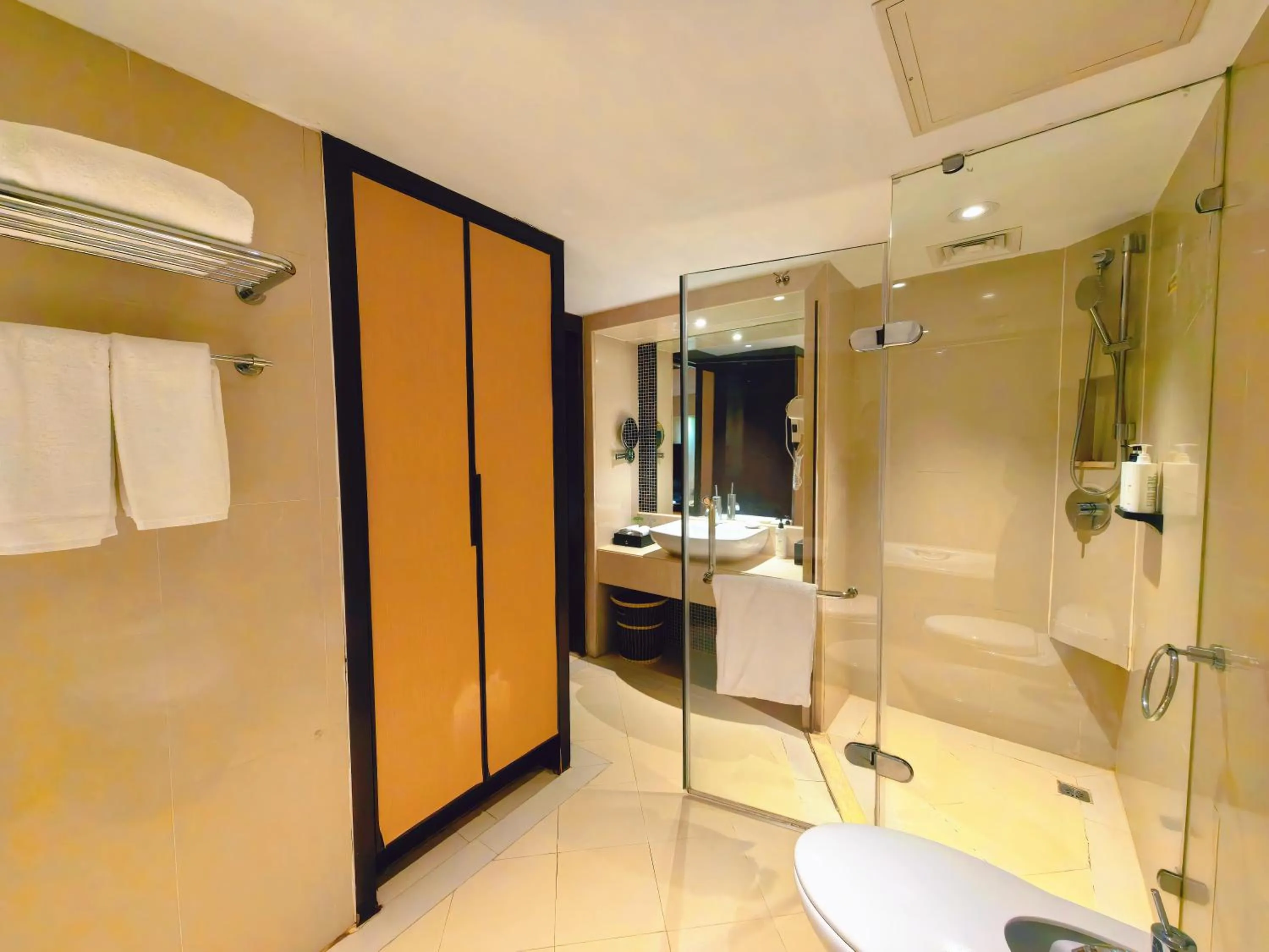 Toilet in Landmark International Hotel
