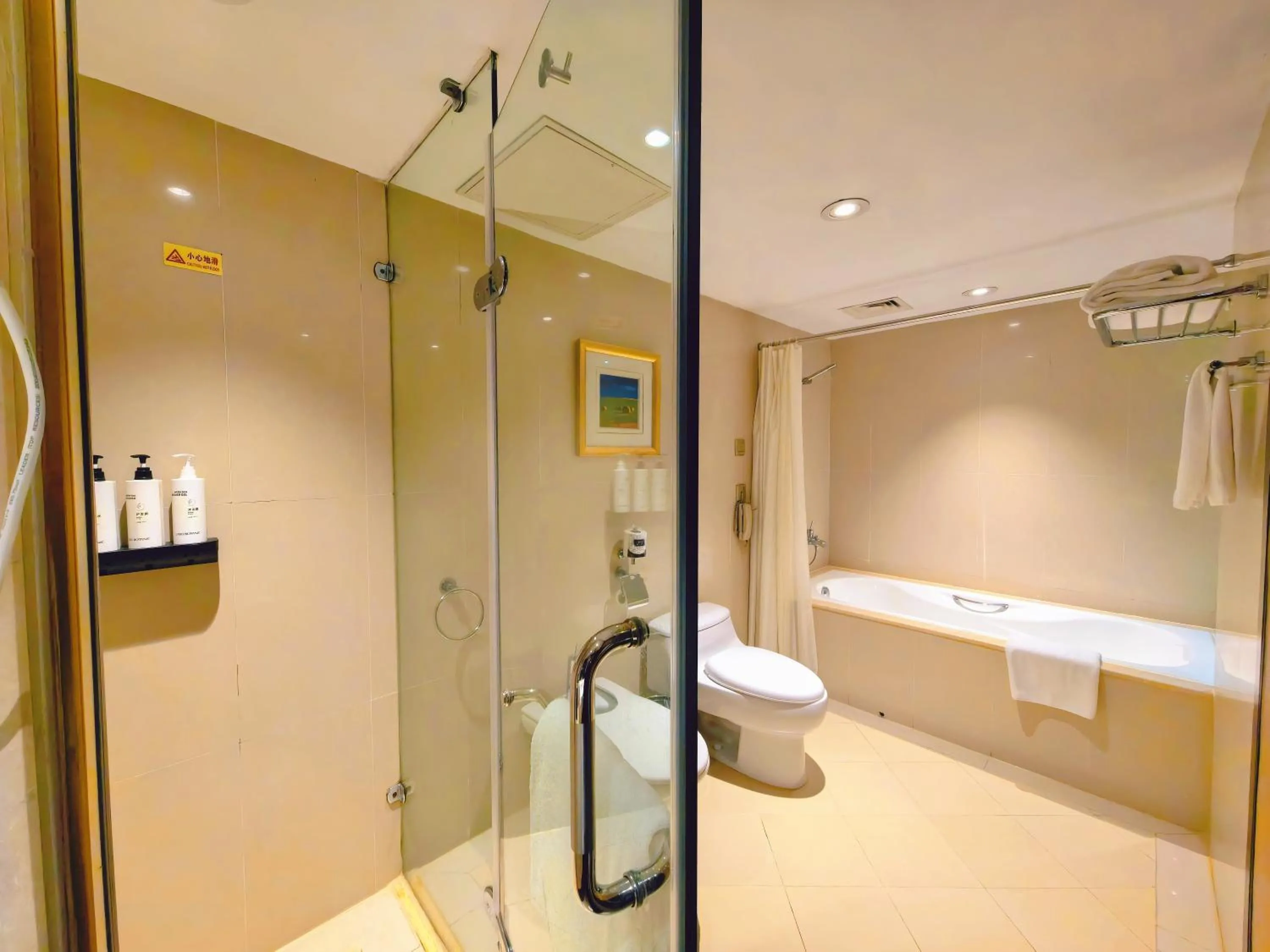Toilet in Landmark International Hotel