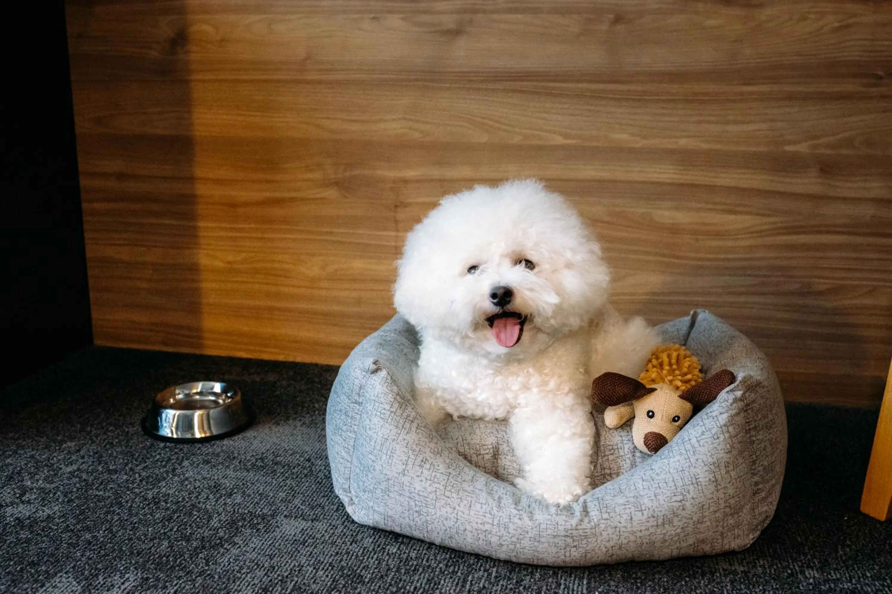 Bedroom in Favor Park Hotel
