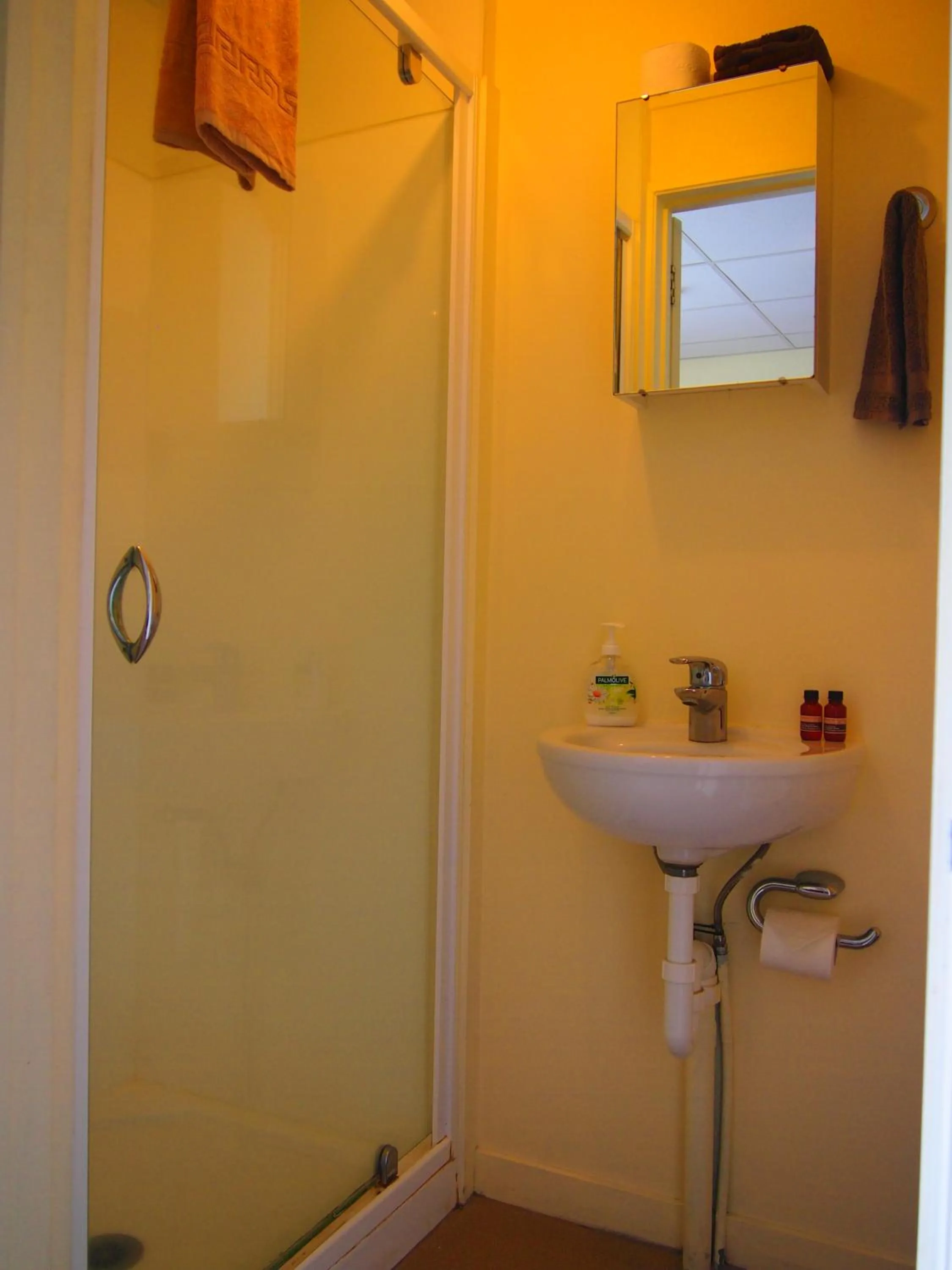 Bathroom in Manor Views NZ