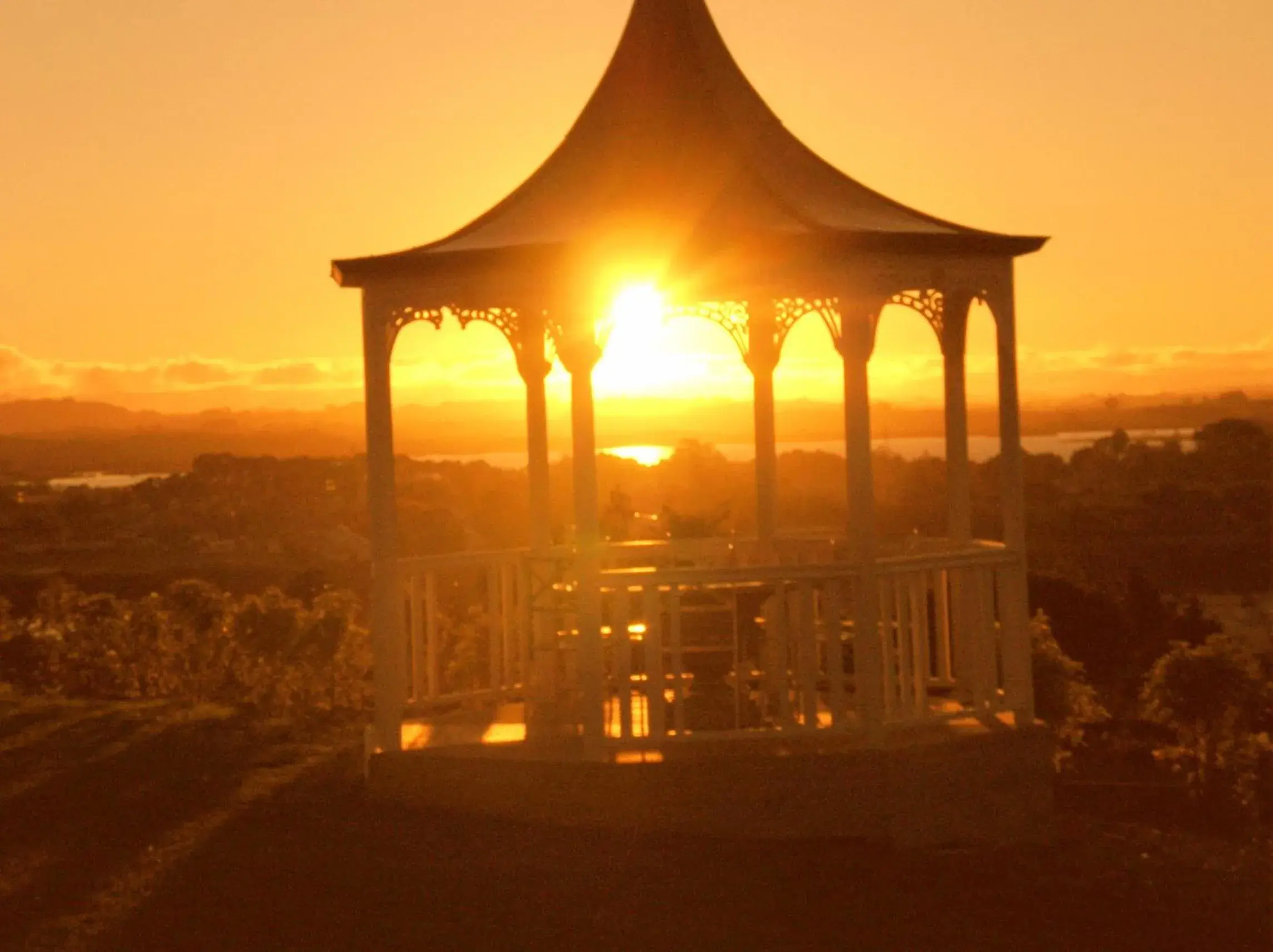 View (from property/room) in Manor Views NZ View (from property/room) in Manor Views NZ