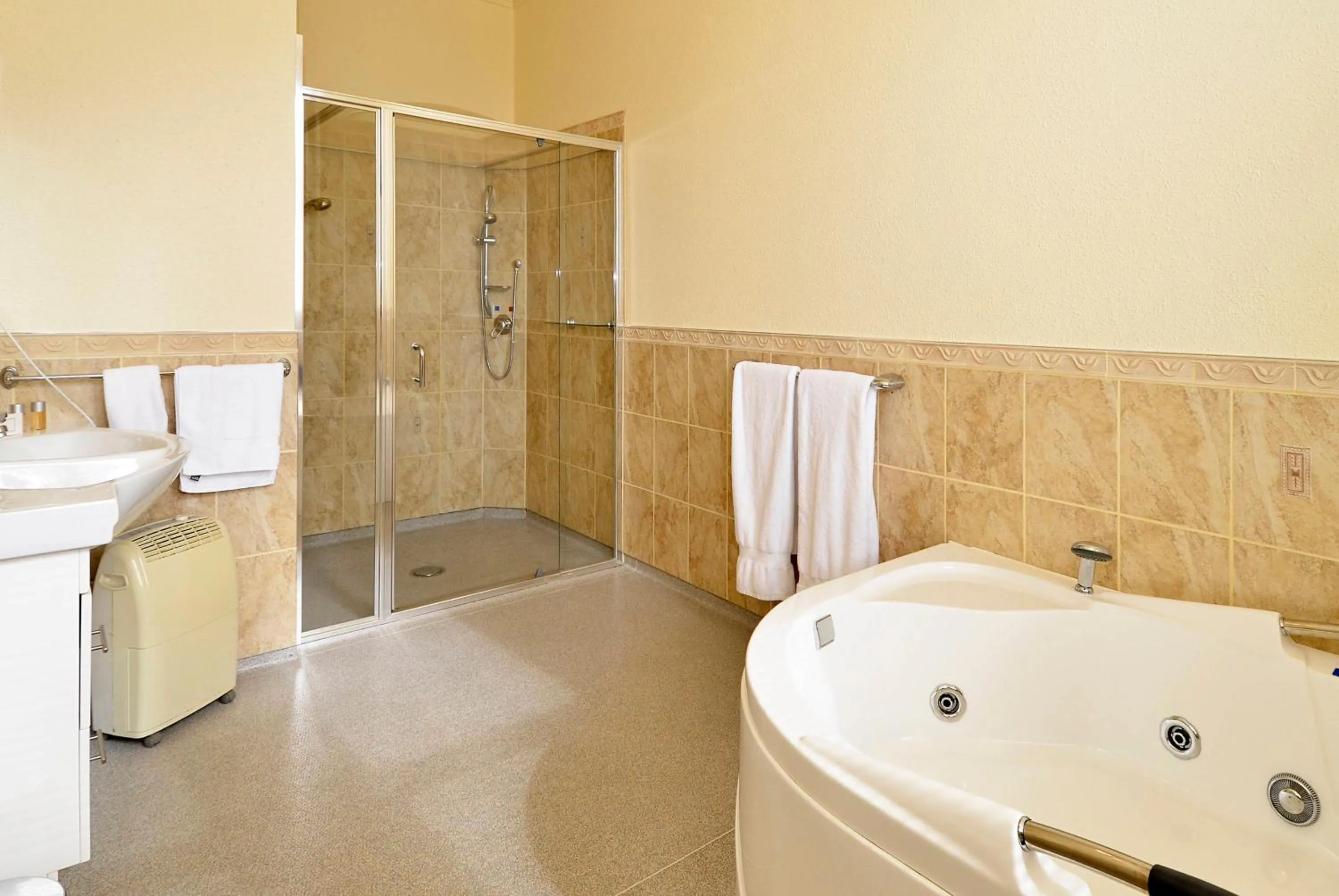 Bathroom in Manor Views NZ