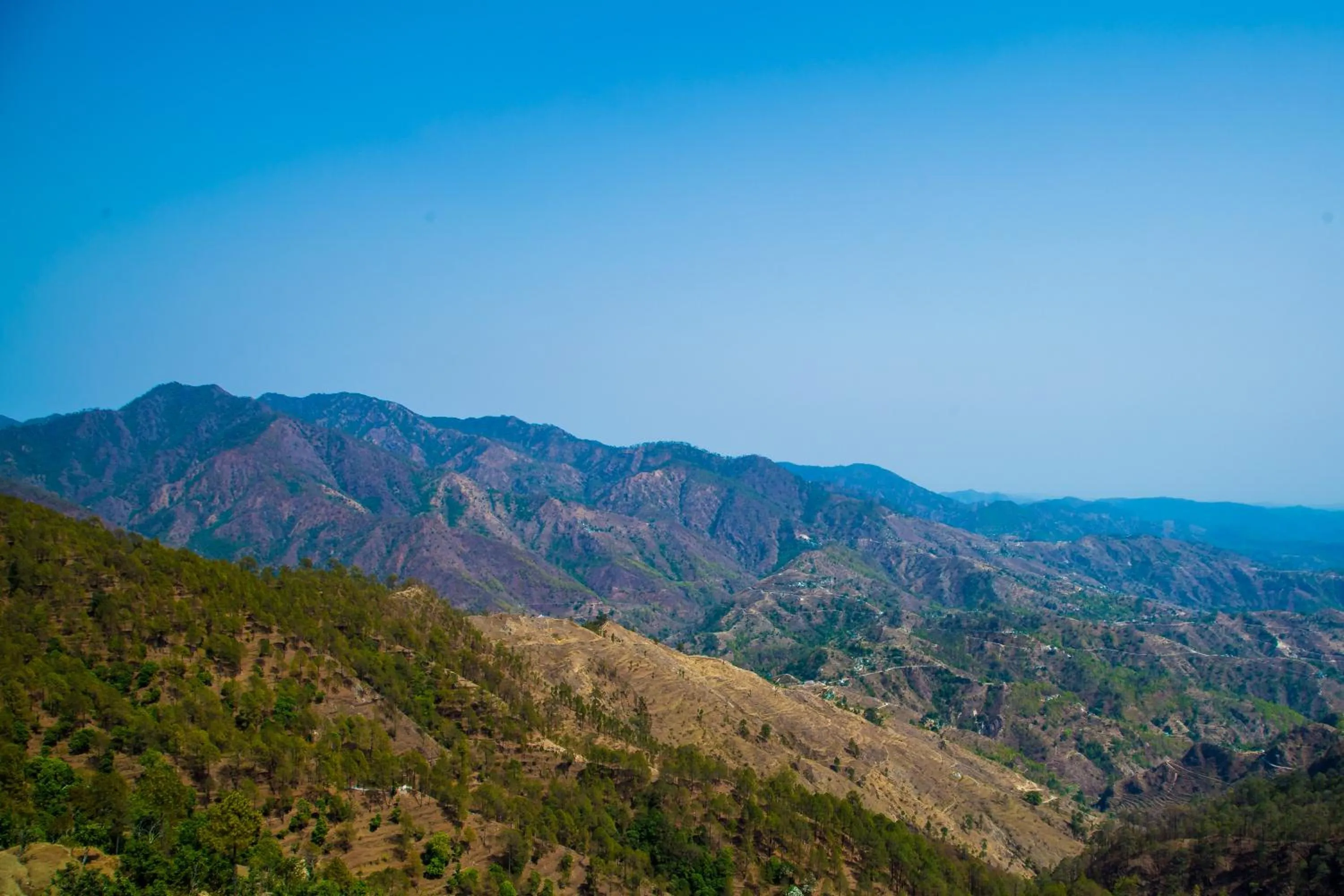 Property building in Clarks Collection Lansdowne