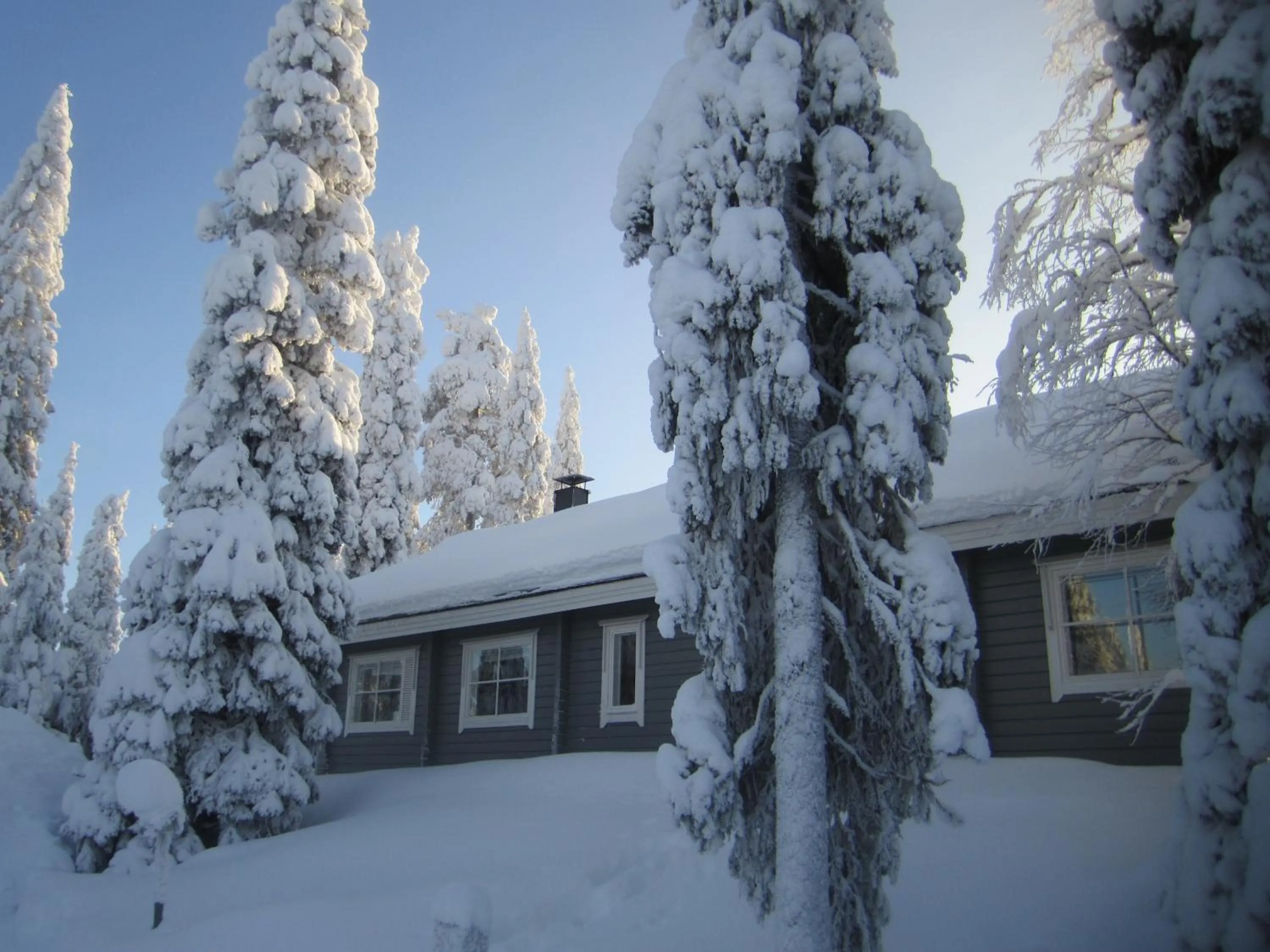 Property building in Hippu Apartment