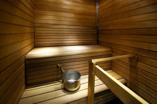 Sauna in Hippu Apartment