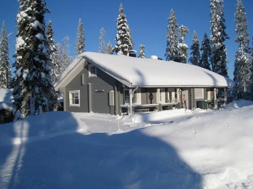 Property building in Hippu Apartment