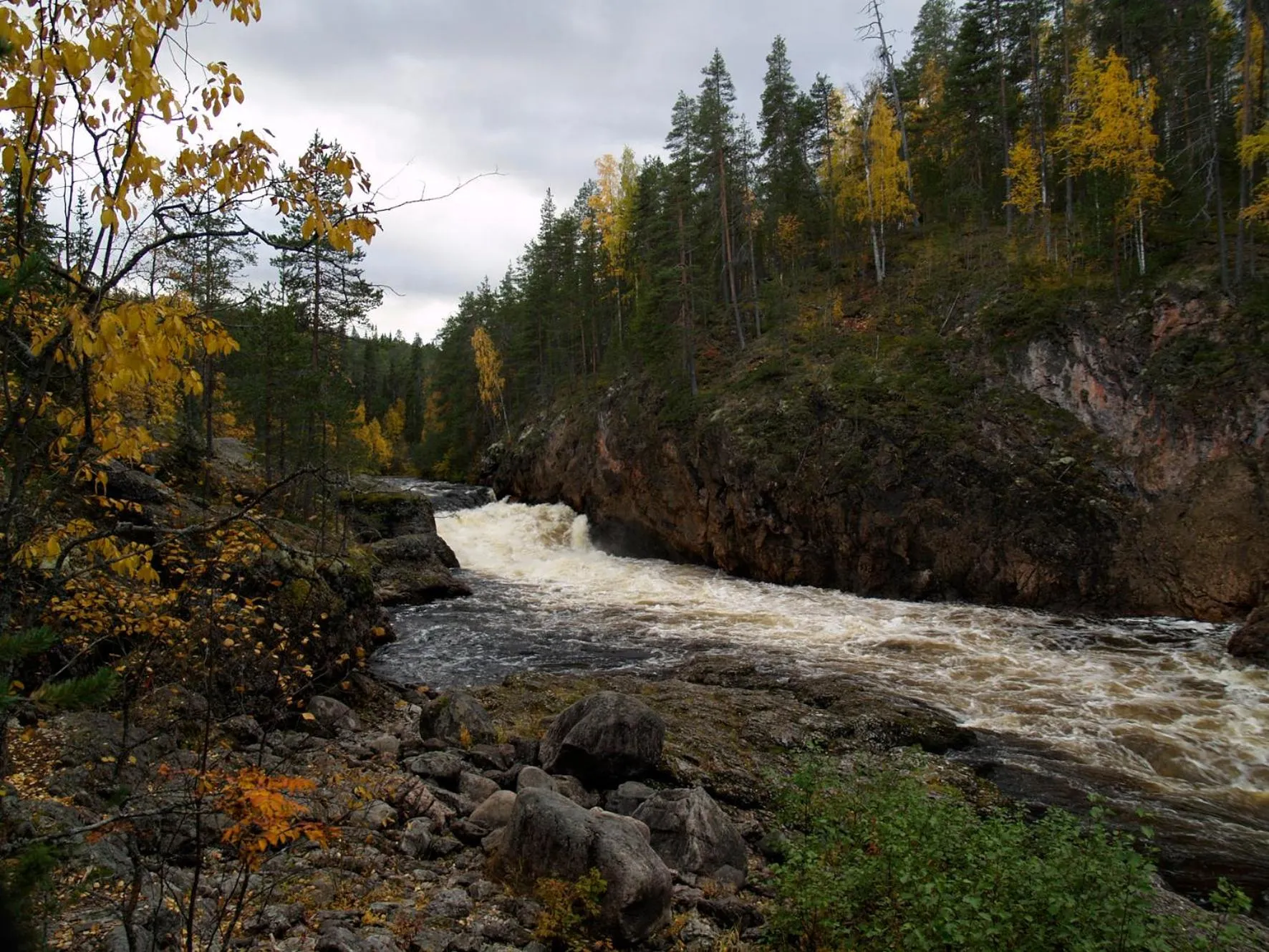 Natural landscape in Hippu Apartment