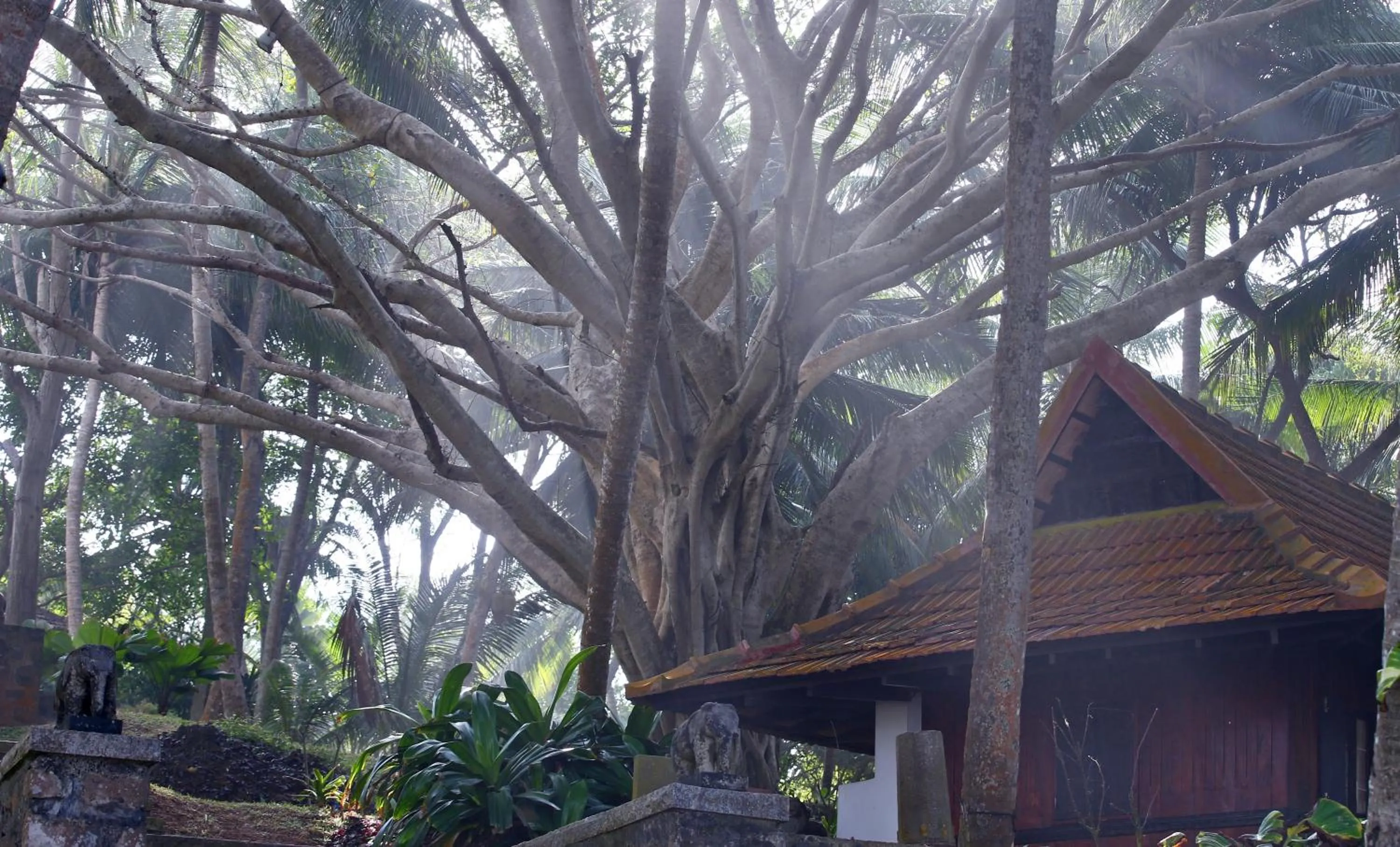 Property building in Niraamaya Wellness Retreats, Surya Samudra, Kovalam