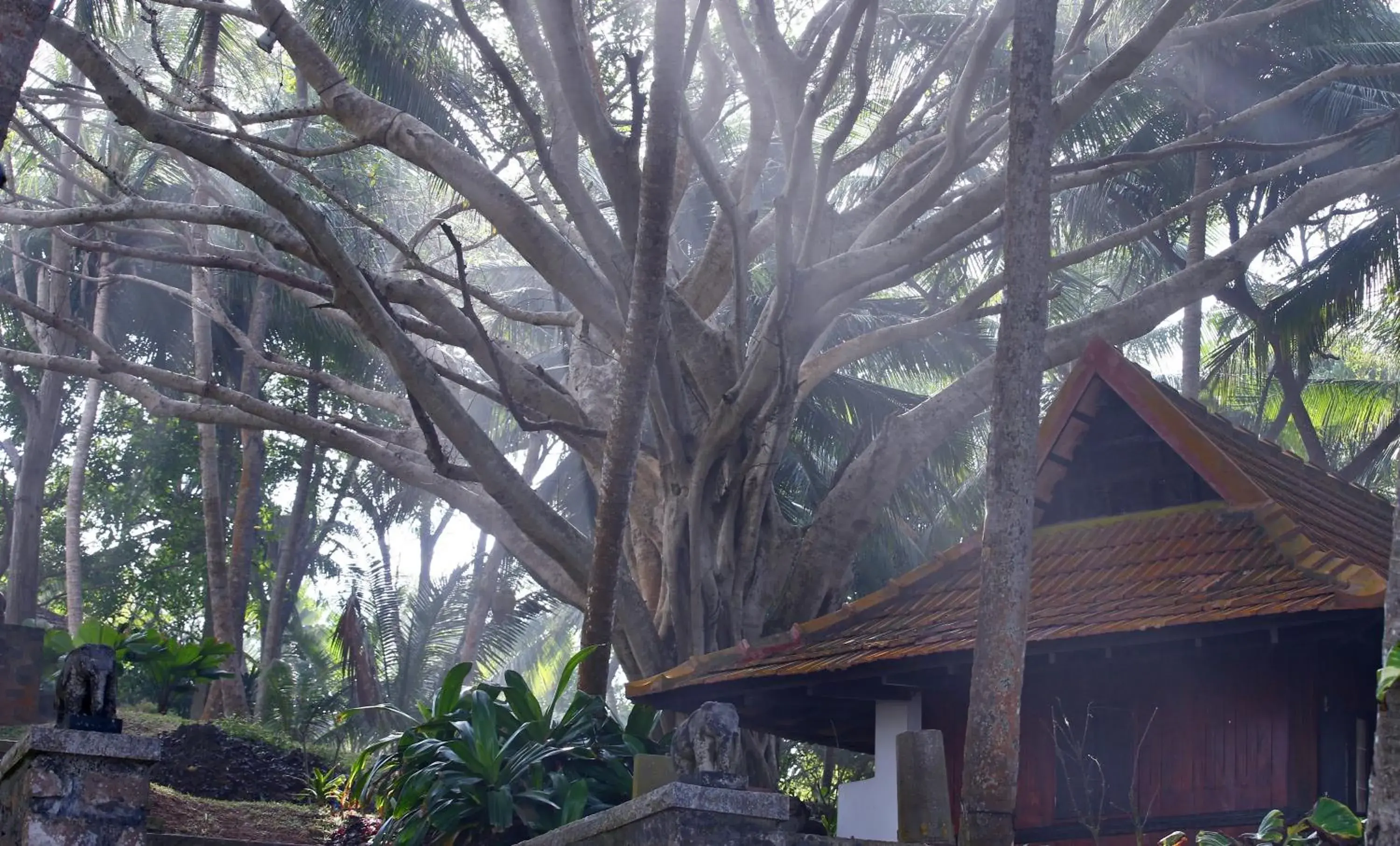 Property building in Niraamaya Wellness Retreats, Surya Samudra, Kovalam Property building in Niraamaya Wellness Retreats, Surya Samudra, Kovalam