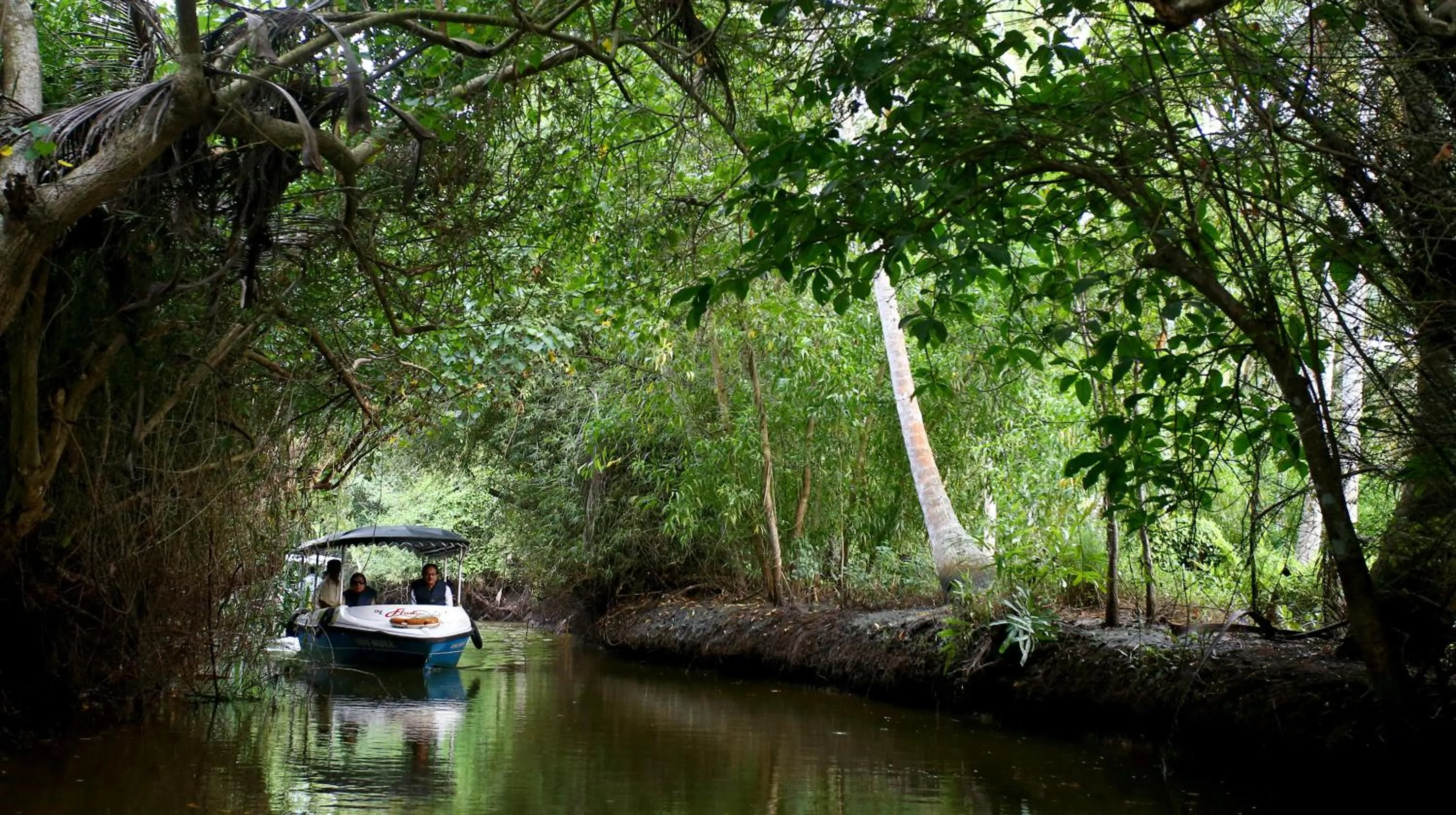 Natural landscape in Niraamaya Wellness Retreats, Surya Samudra, Kovalam