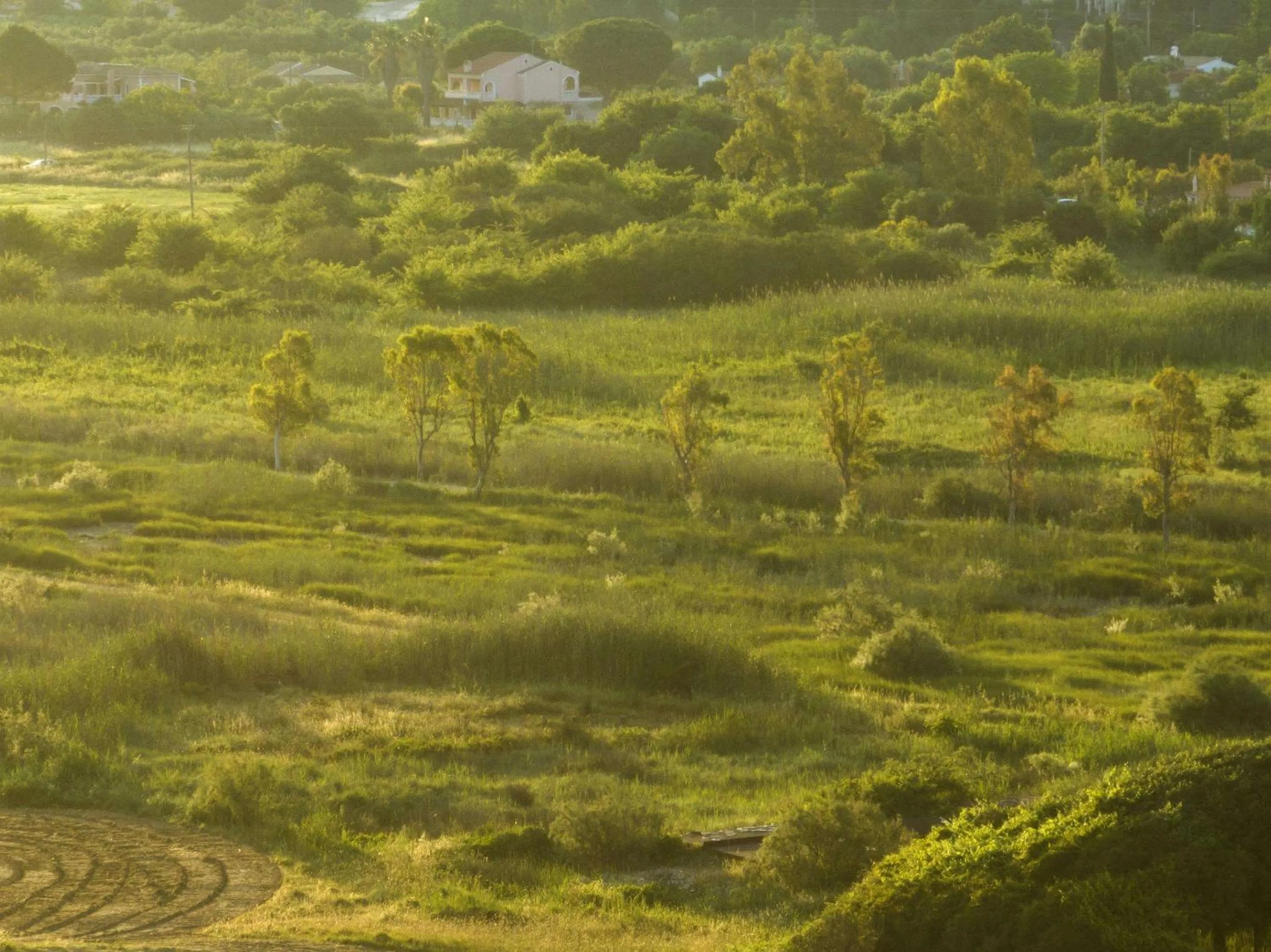 Other in Grecotel LUXME Costa Botanica