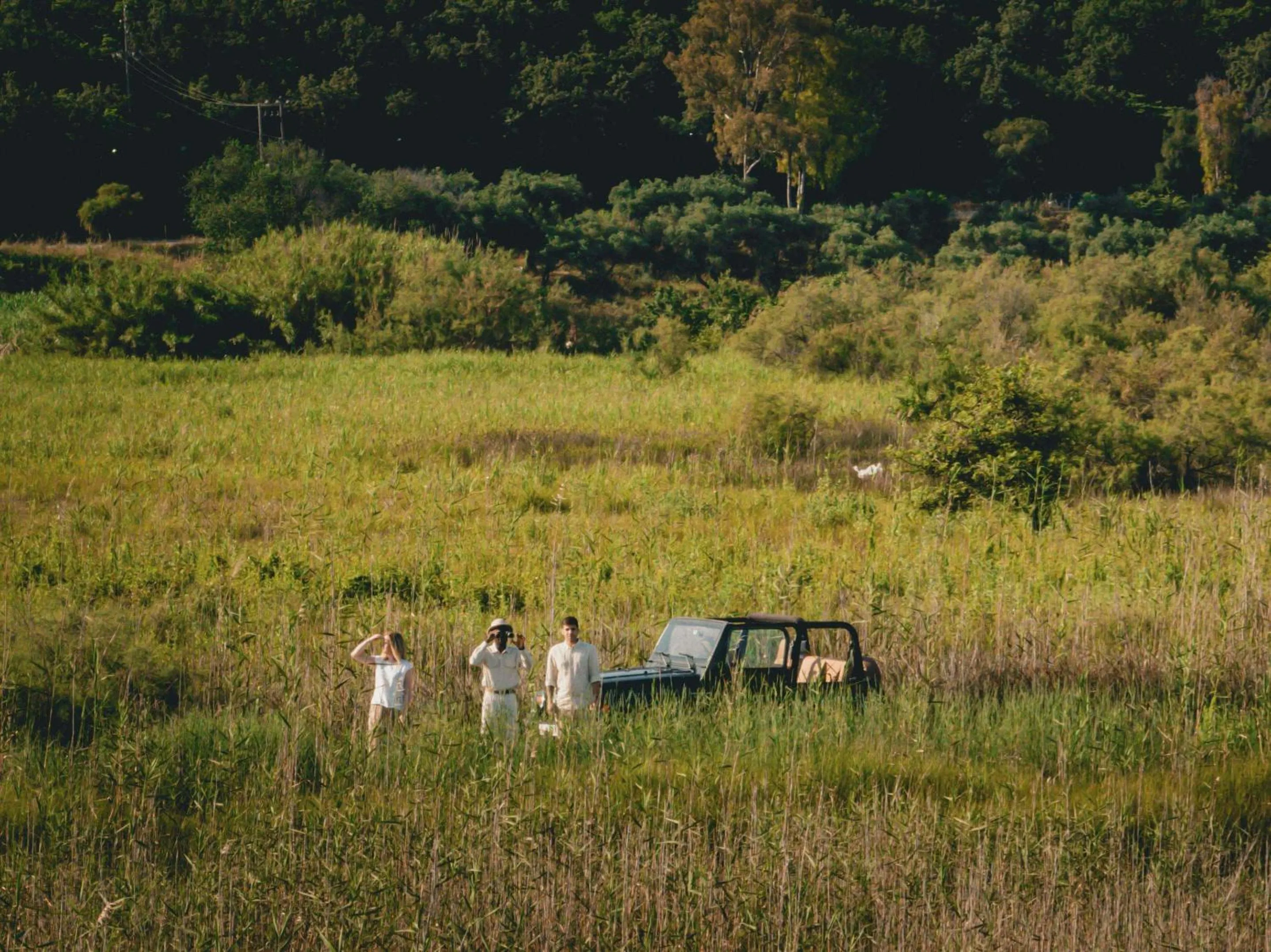 Other in Grecotel LUXME Costa Botanica