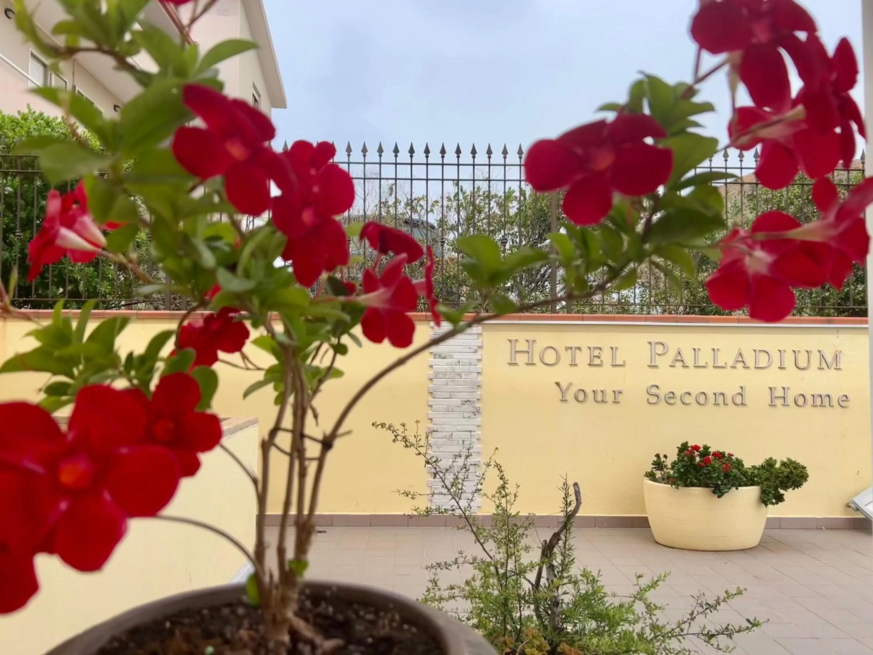 Property building in Hotel Palladium