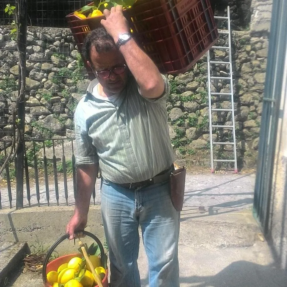 Staff in A Pastaiola