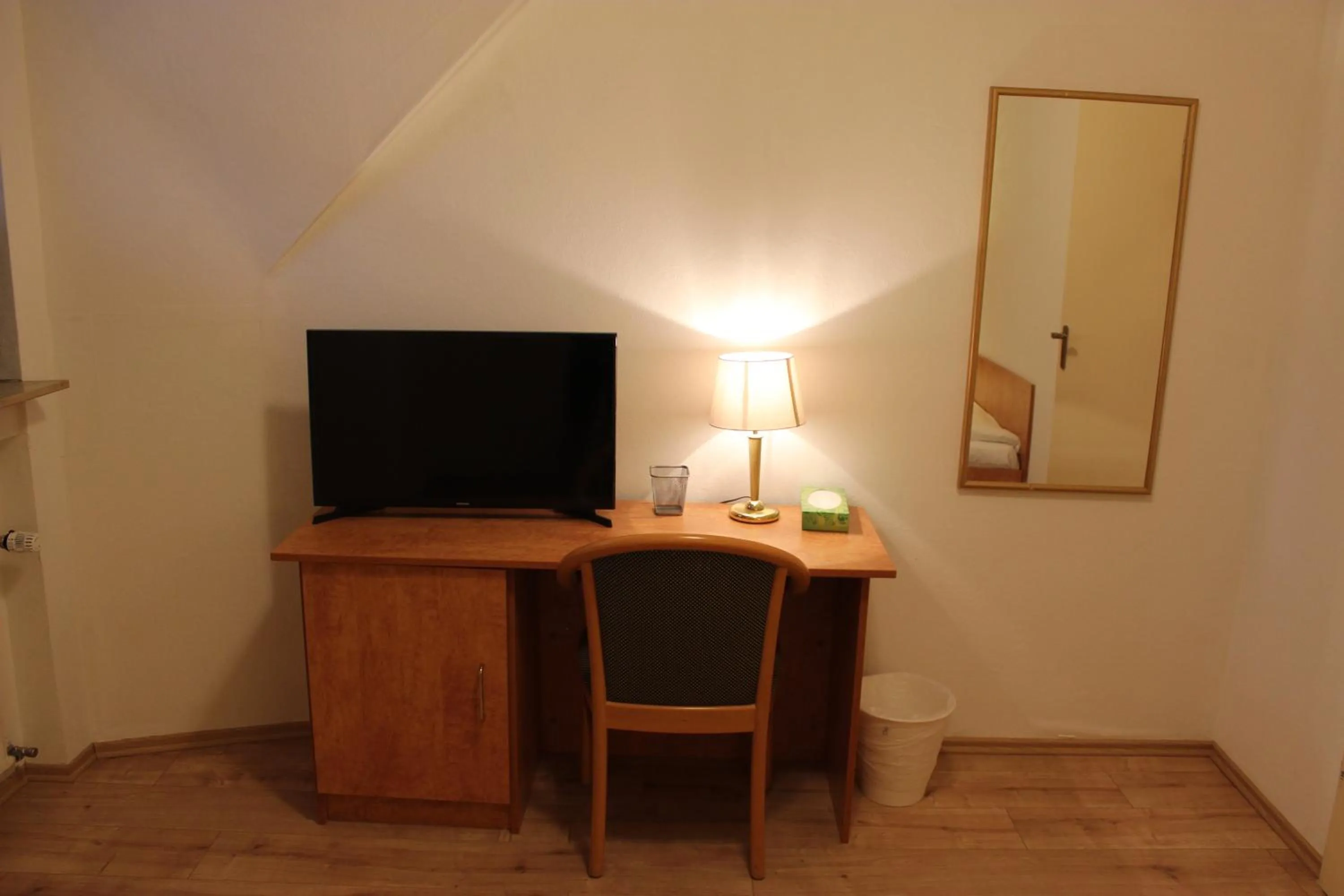 TV and multimedia in Hotel Gaya