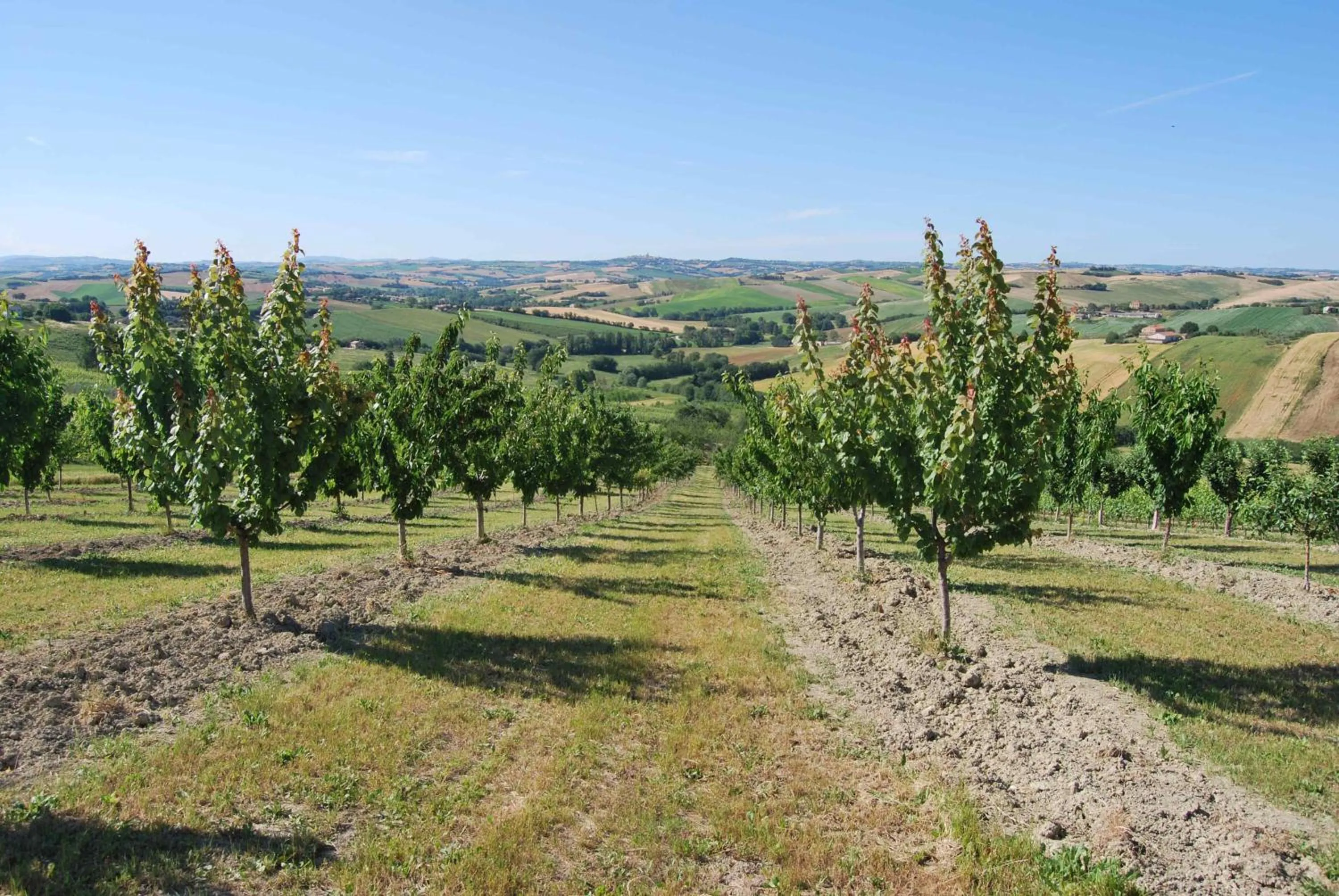 Area and facilities in Cadabò