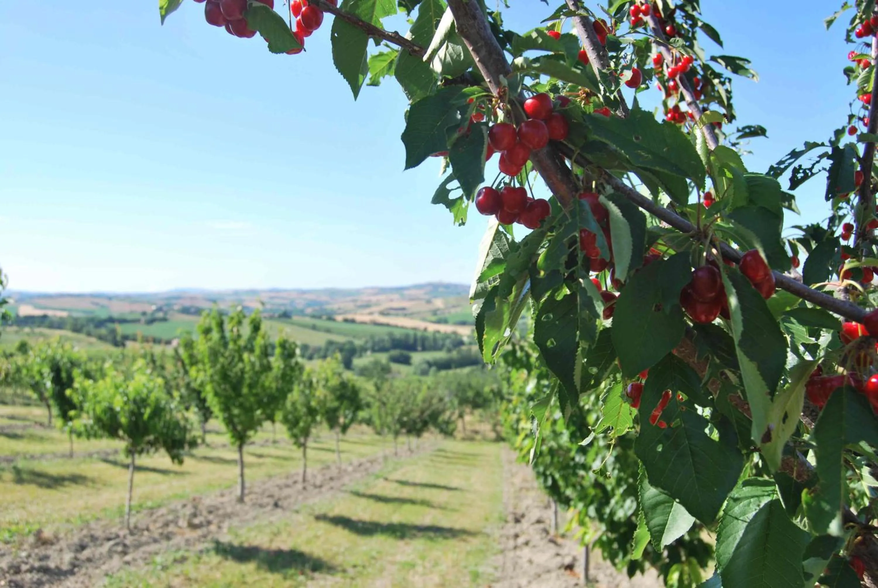 Area and facilities in Cadabò