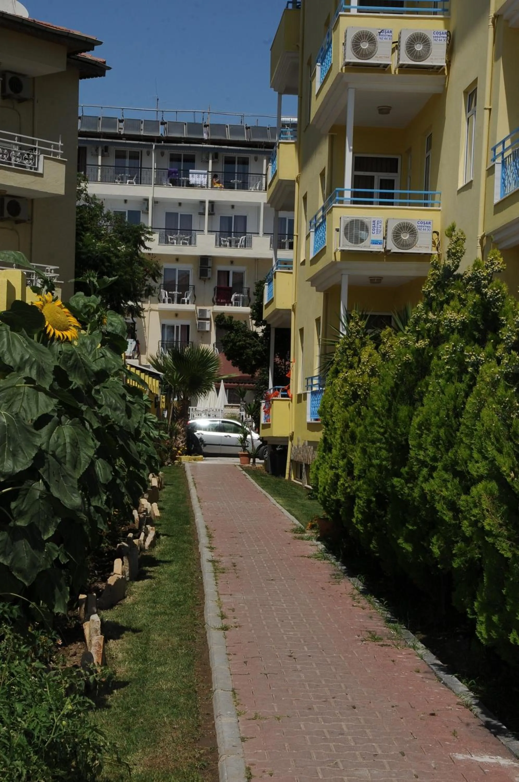 Facade/entrance in Sun Flower Apart Hotel
