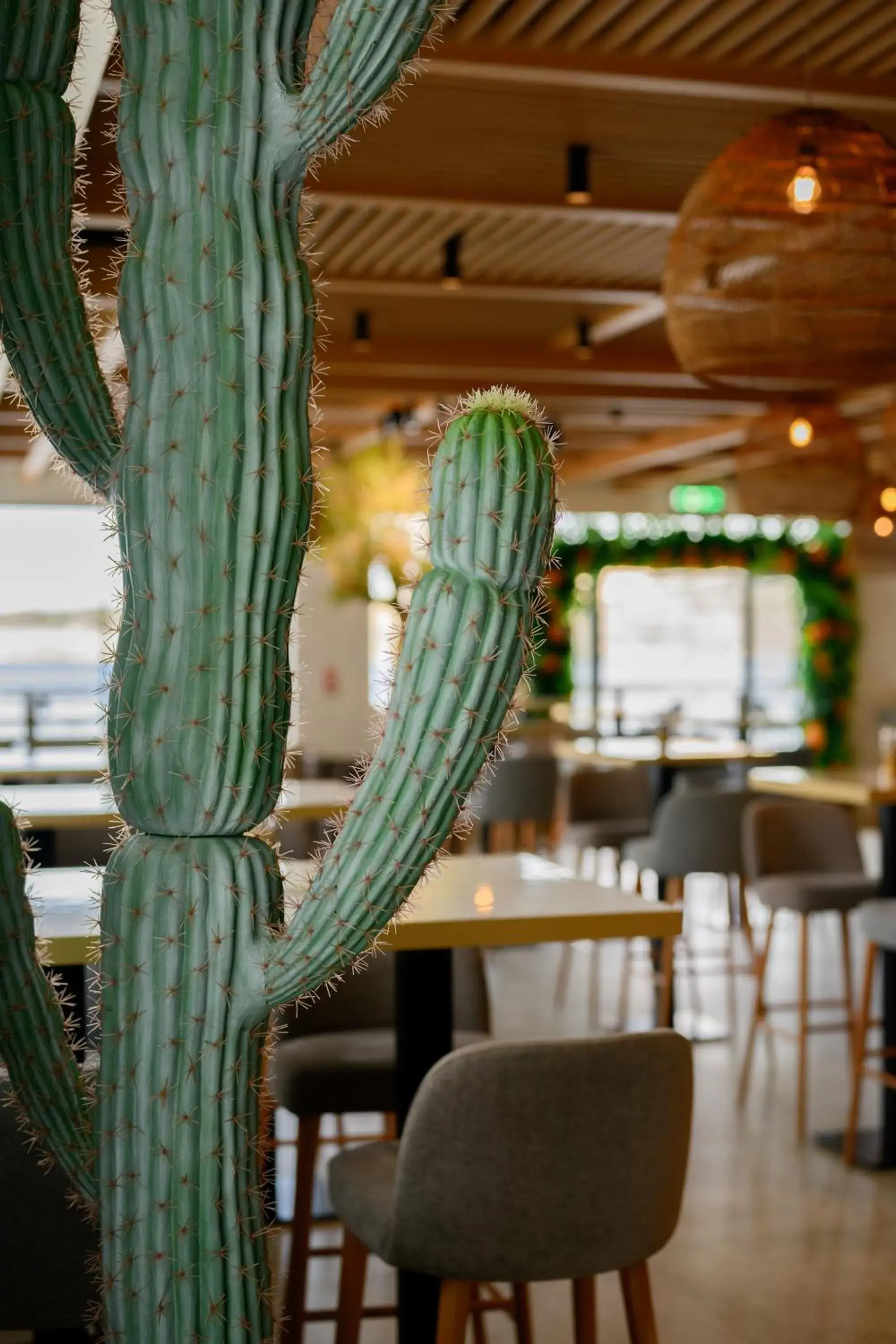 Restaurant/places to eat in QAWRA Palace Resort & SPA Restaurant/places to eat in QAWRA Palace Resort & SPA